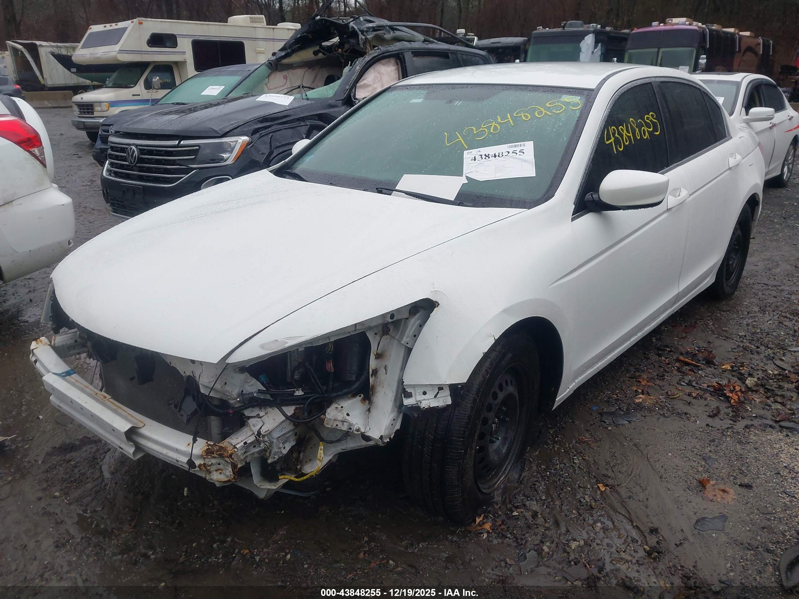HONDA ACCORD image 2