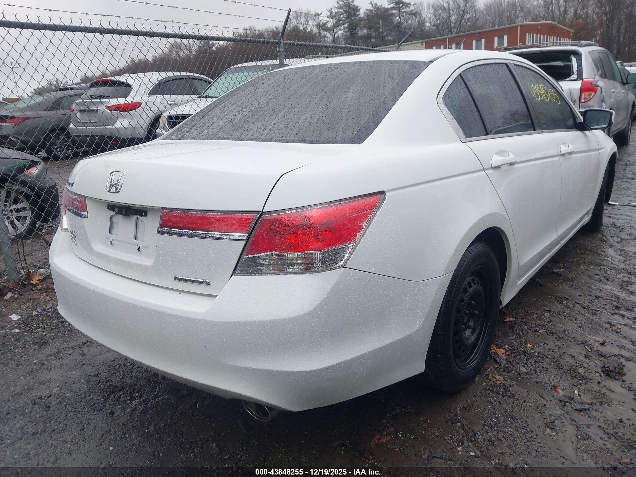 HONDA ACCORD image 4