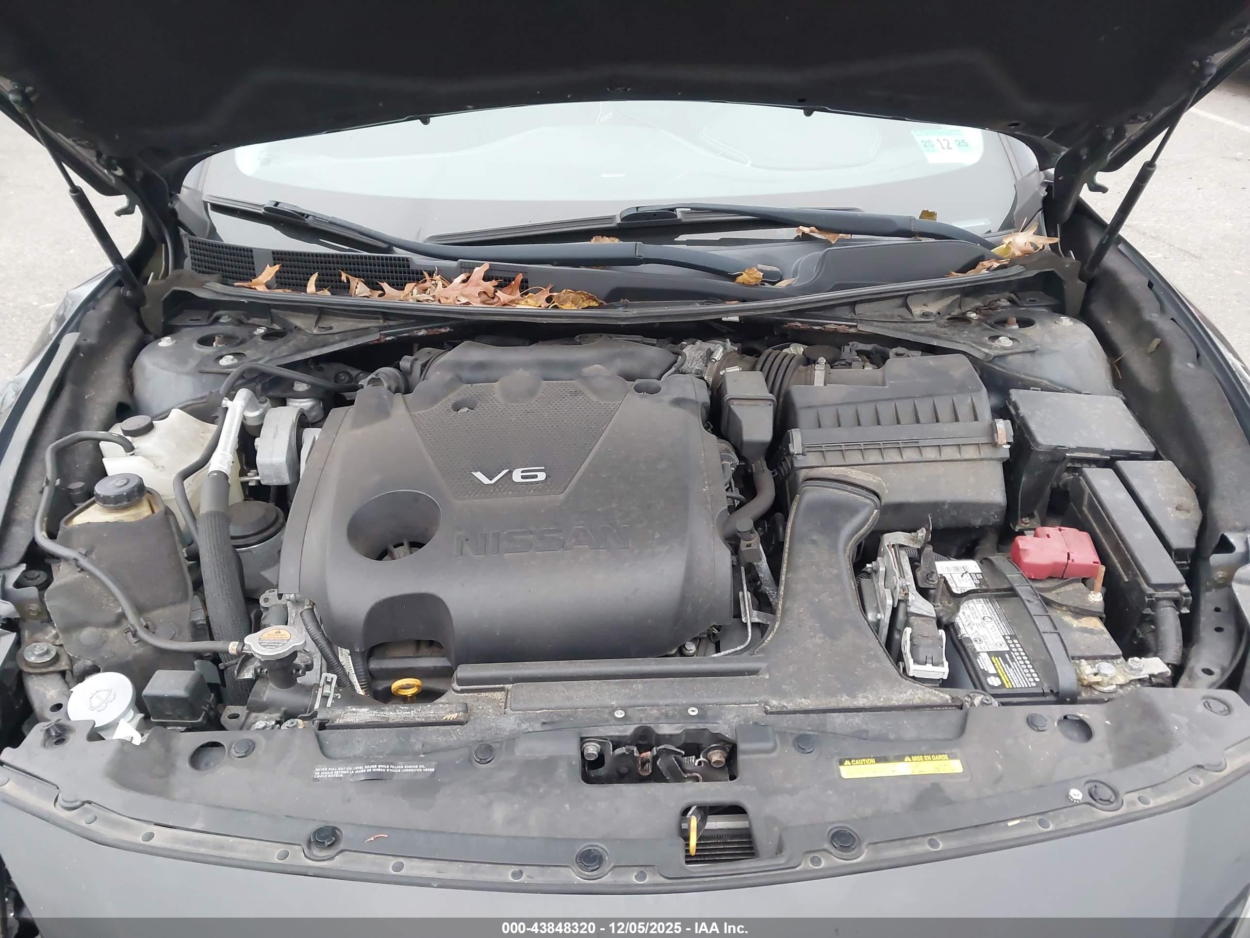 NISSAN MAXIMA image 10