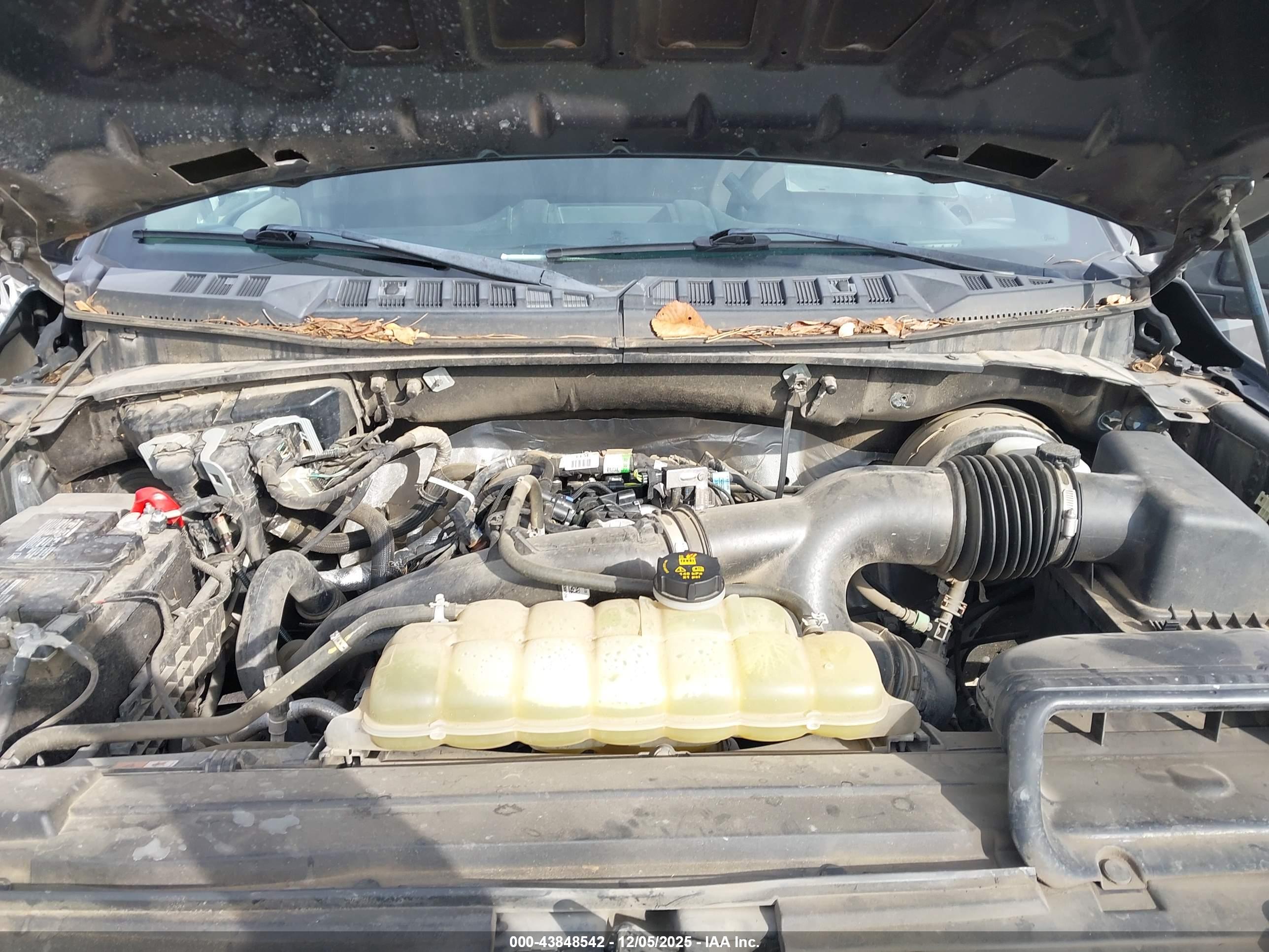 FORD F-150 image 10
