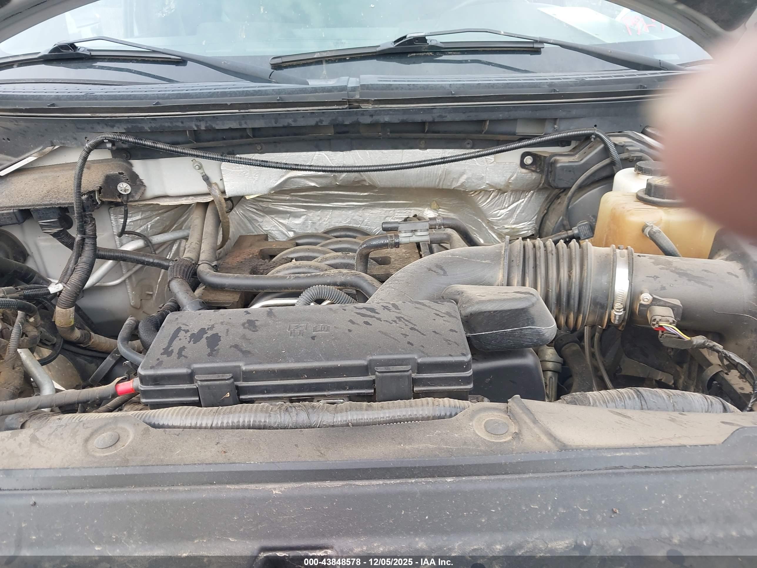 FORD F-150 image 10
