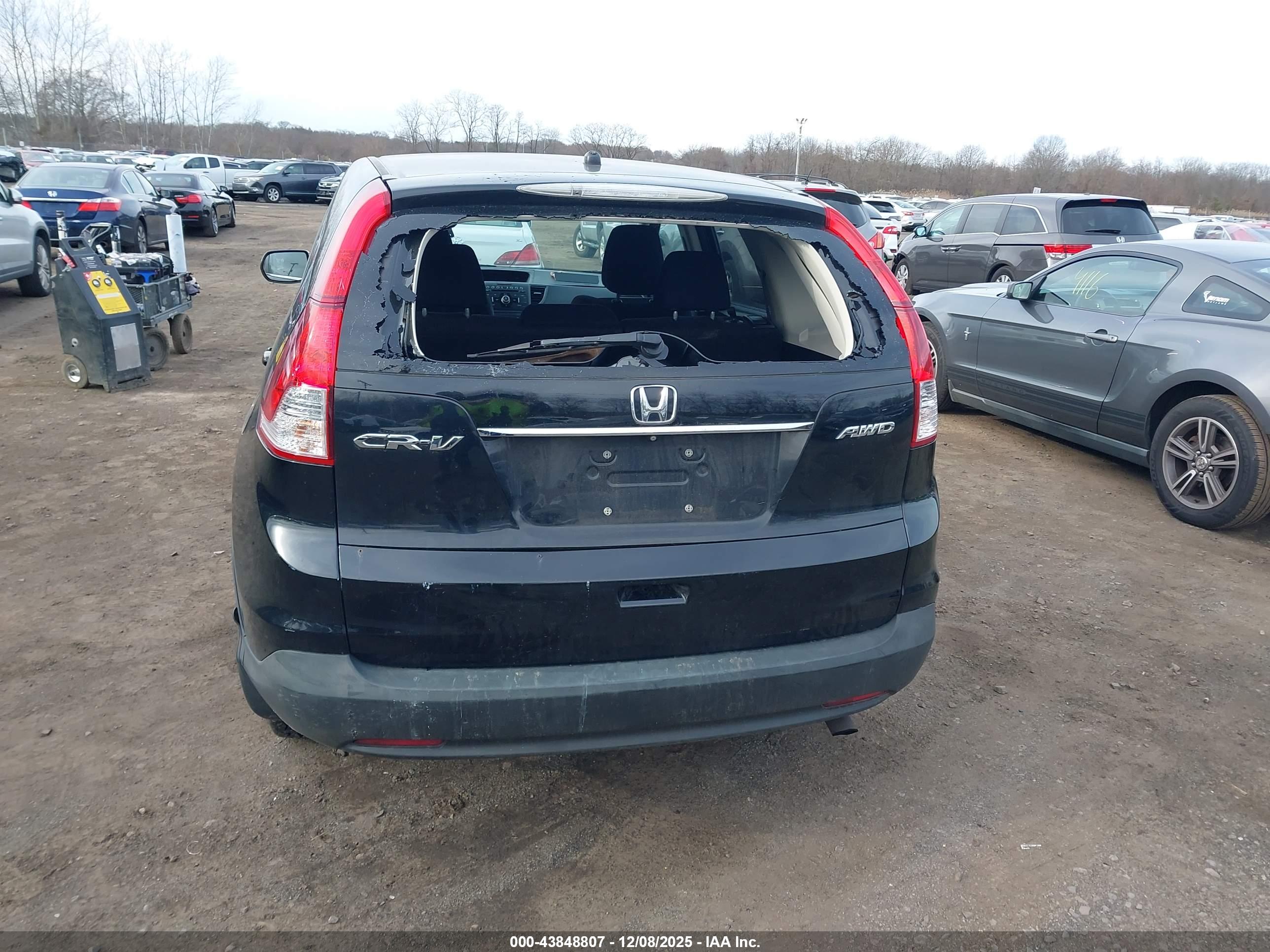 HONDA CR-V image 6