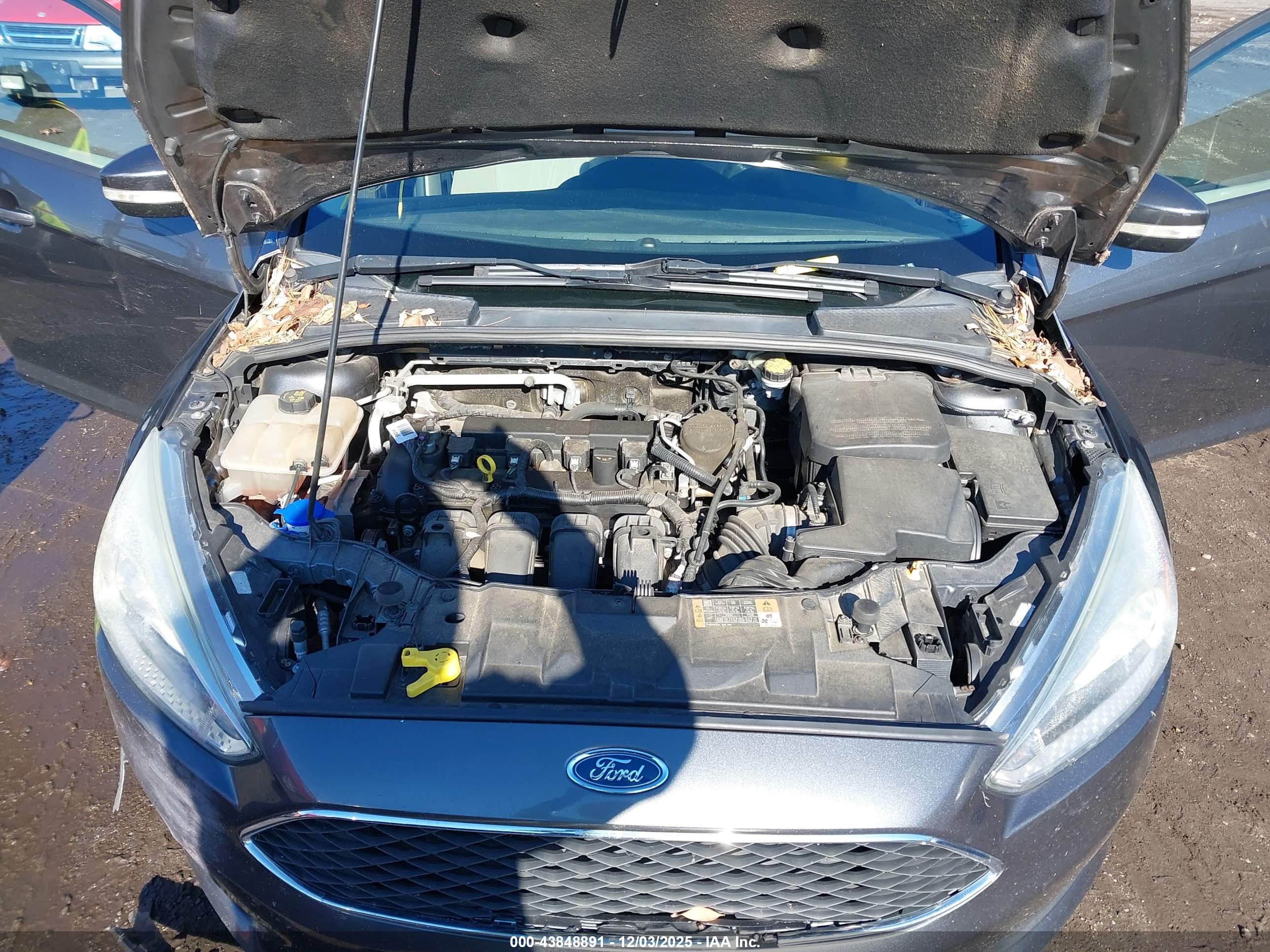 FORD FOCUS image 10