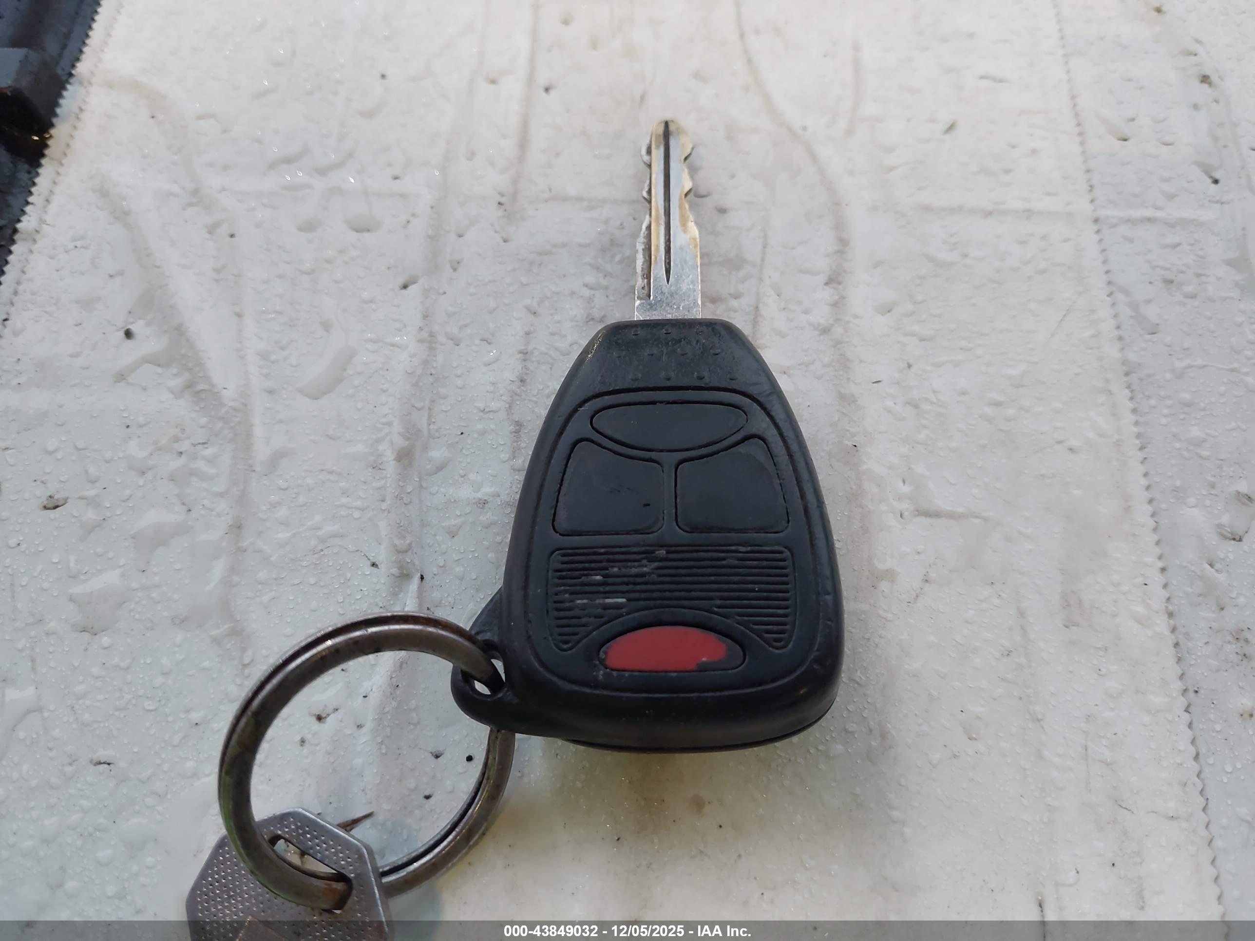 JEEP WRANGLER image 11