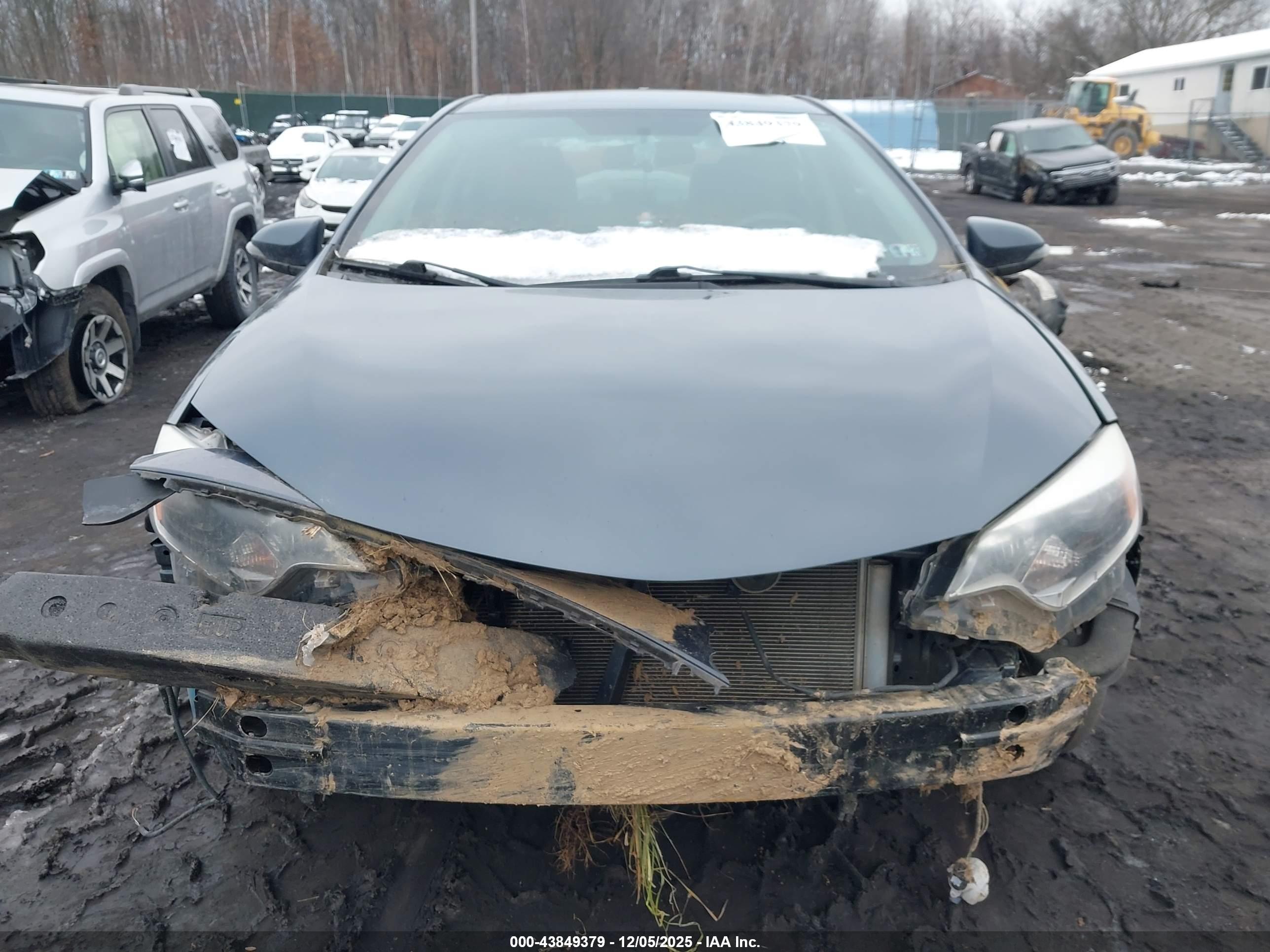 TOYOTA COROLLA image 6