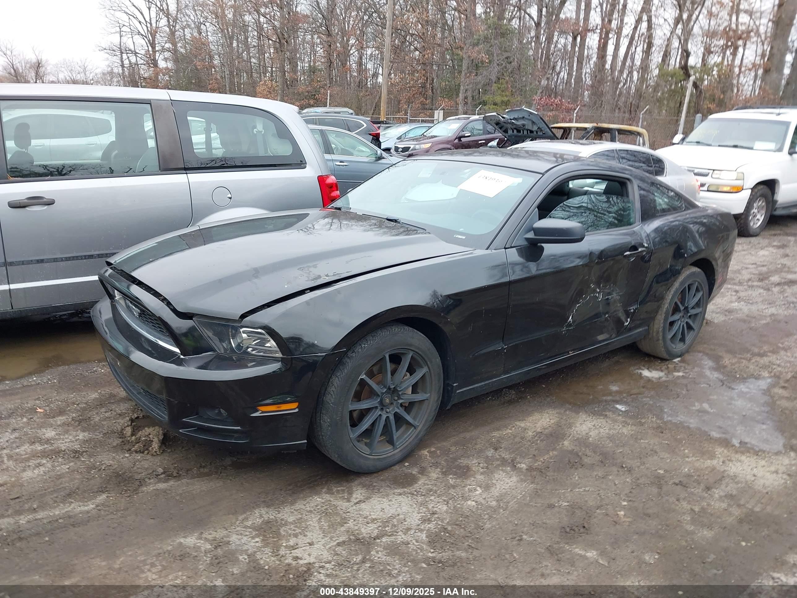 FORD MUSTANG image 2