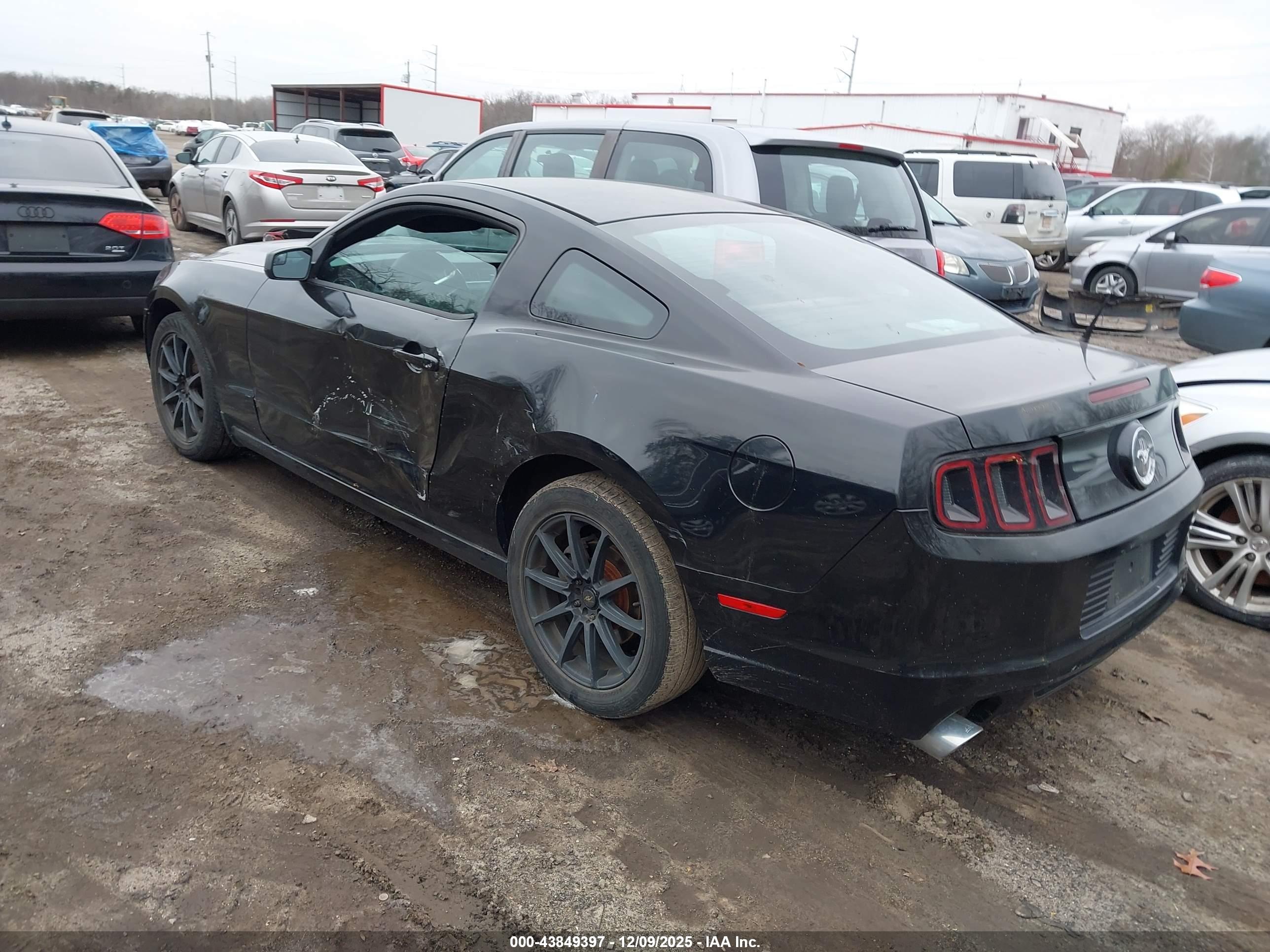 FORD MUSTANG image 3