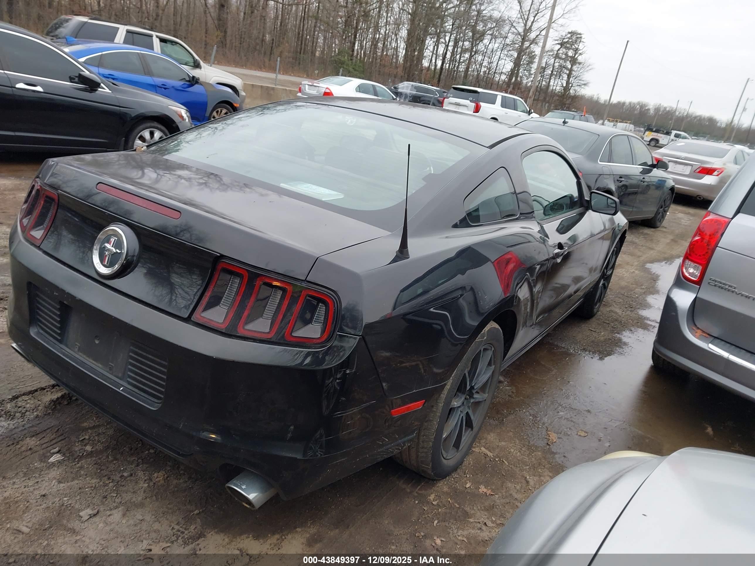 FORD MUSTANG image 4