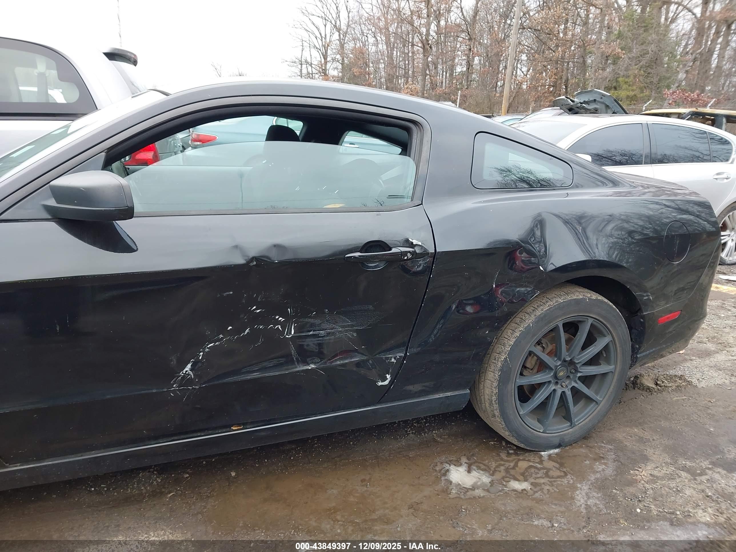 FORD MUSTANG image 6