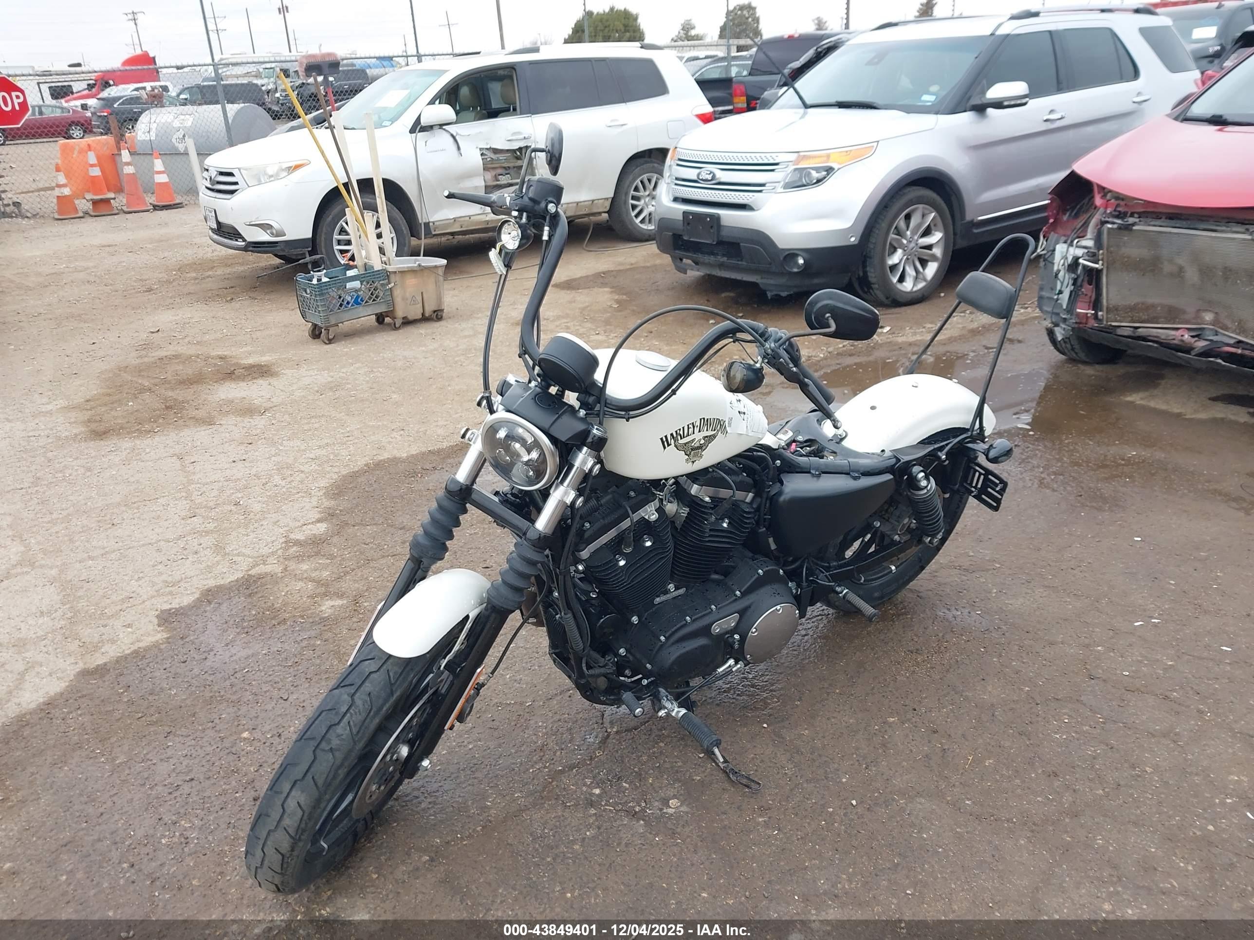 HARLEY-DAVIDSON XL883 image 2