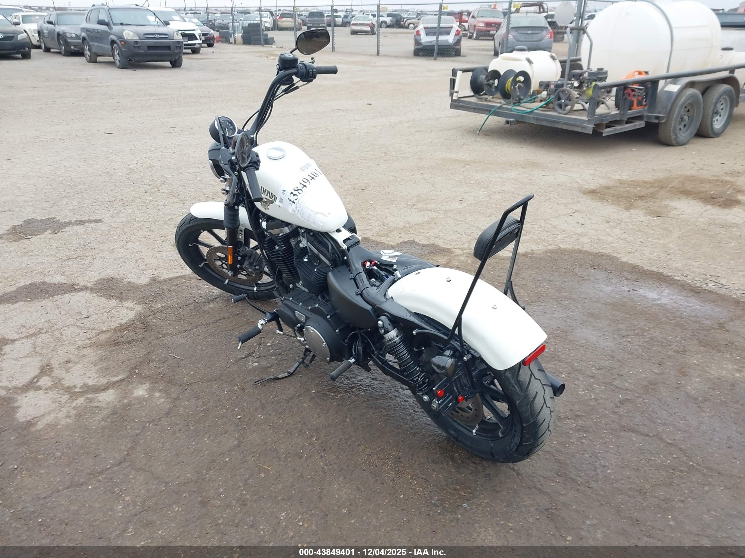 HARLEY-DAVIDSON XL883 image 3