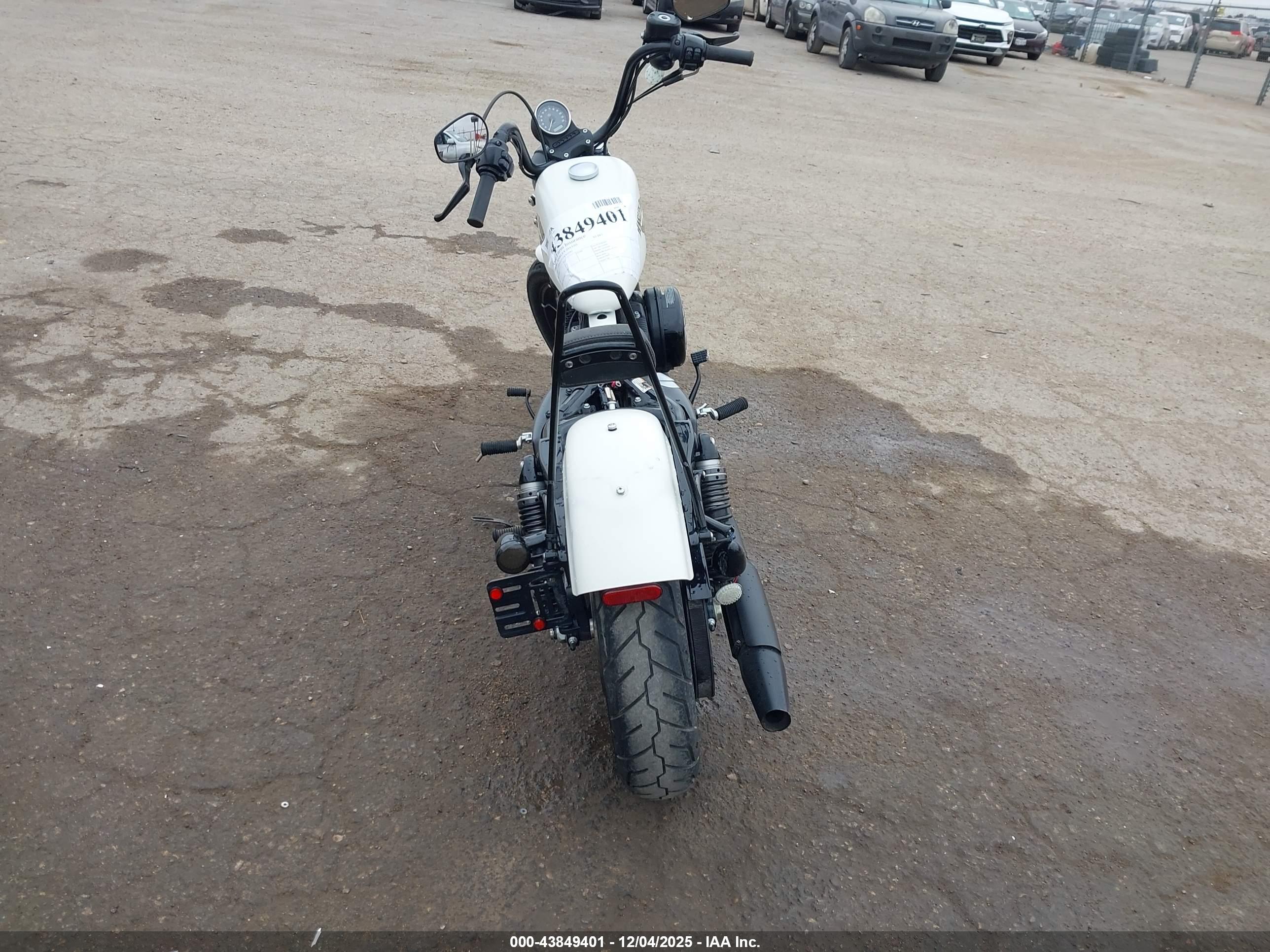 HARLEY-DAVIDSON XL883 image 6