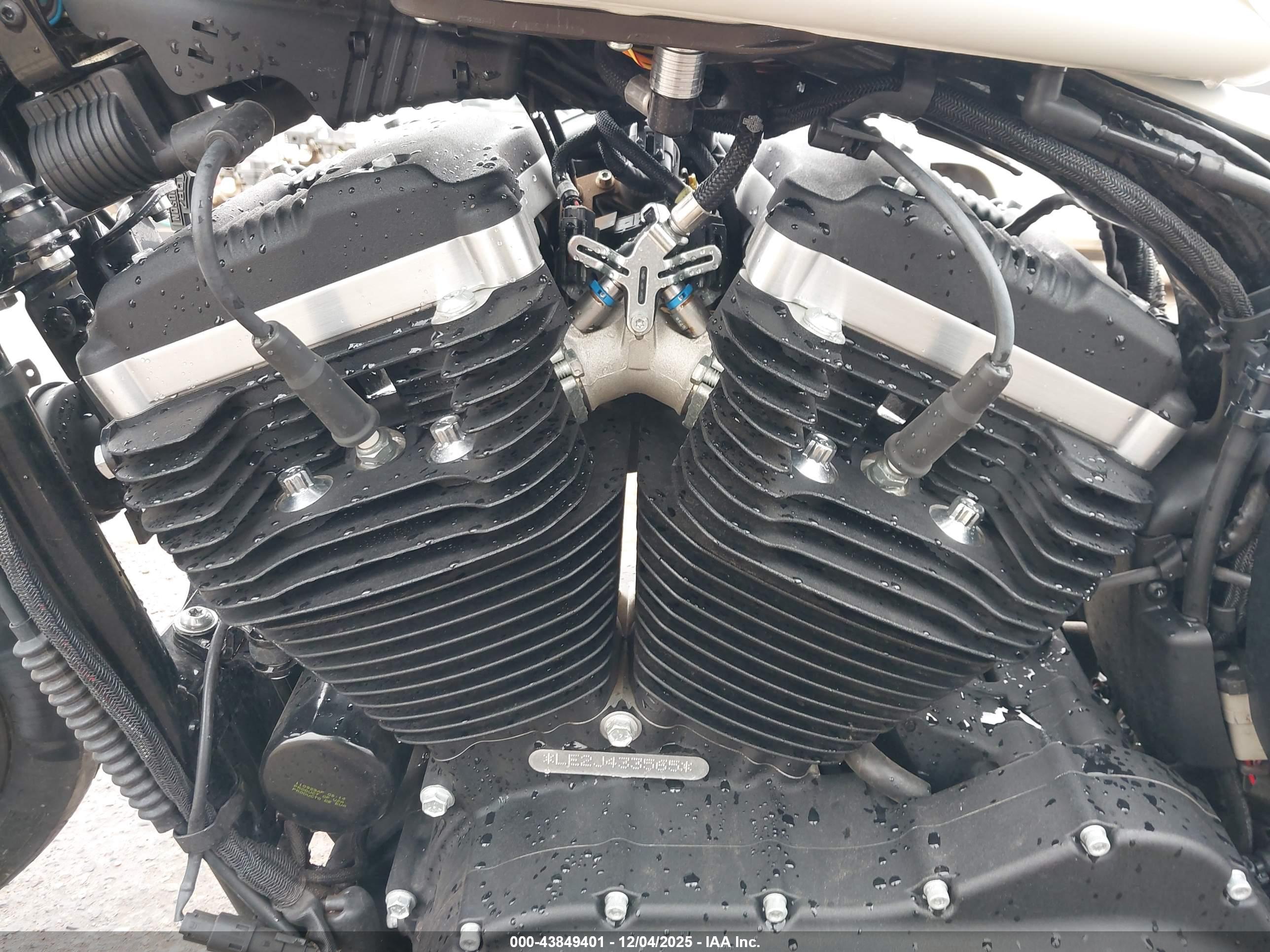 HARLEY-DAVIDSON XL883 image 9