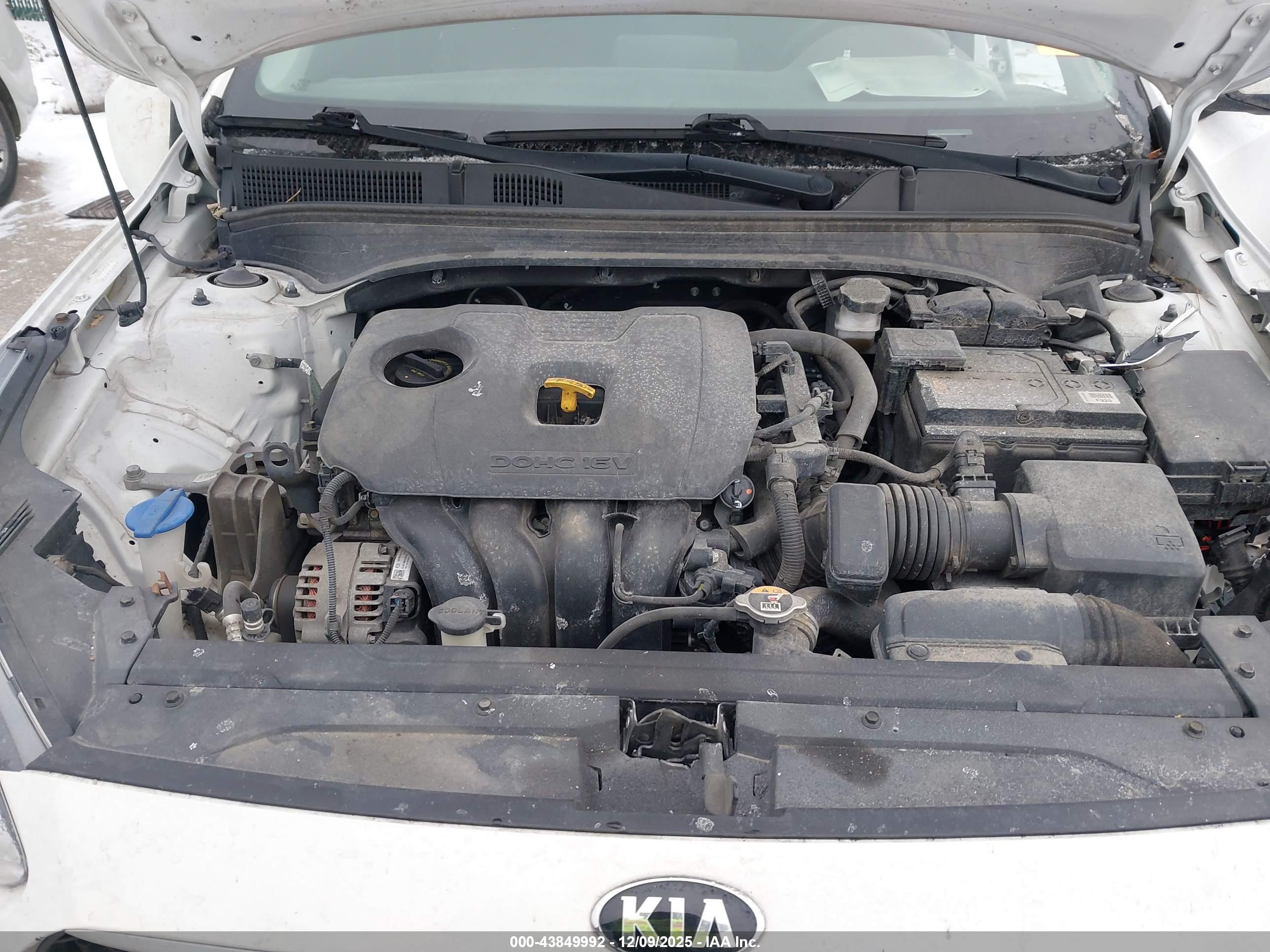 KIA RIO image 10