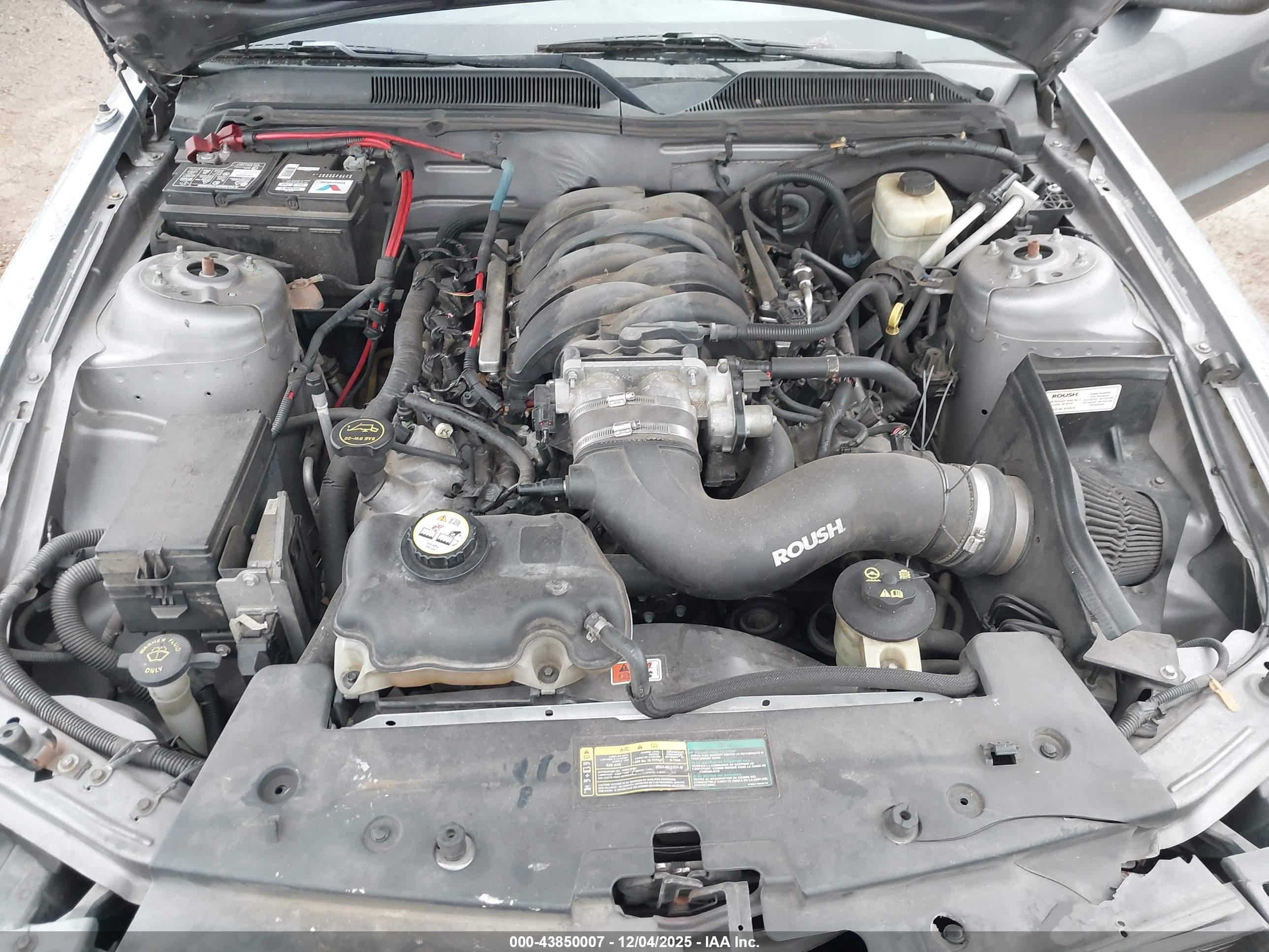 FORD MUSTANG image 10