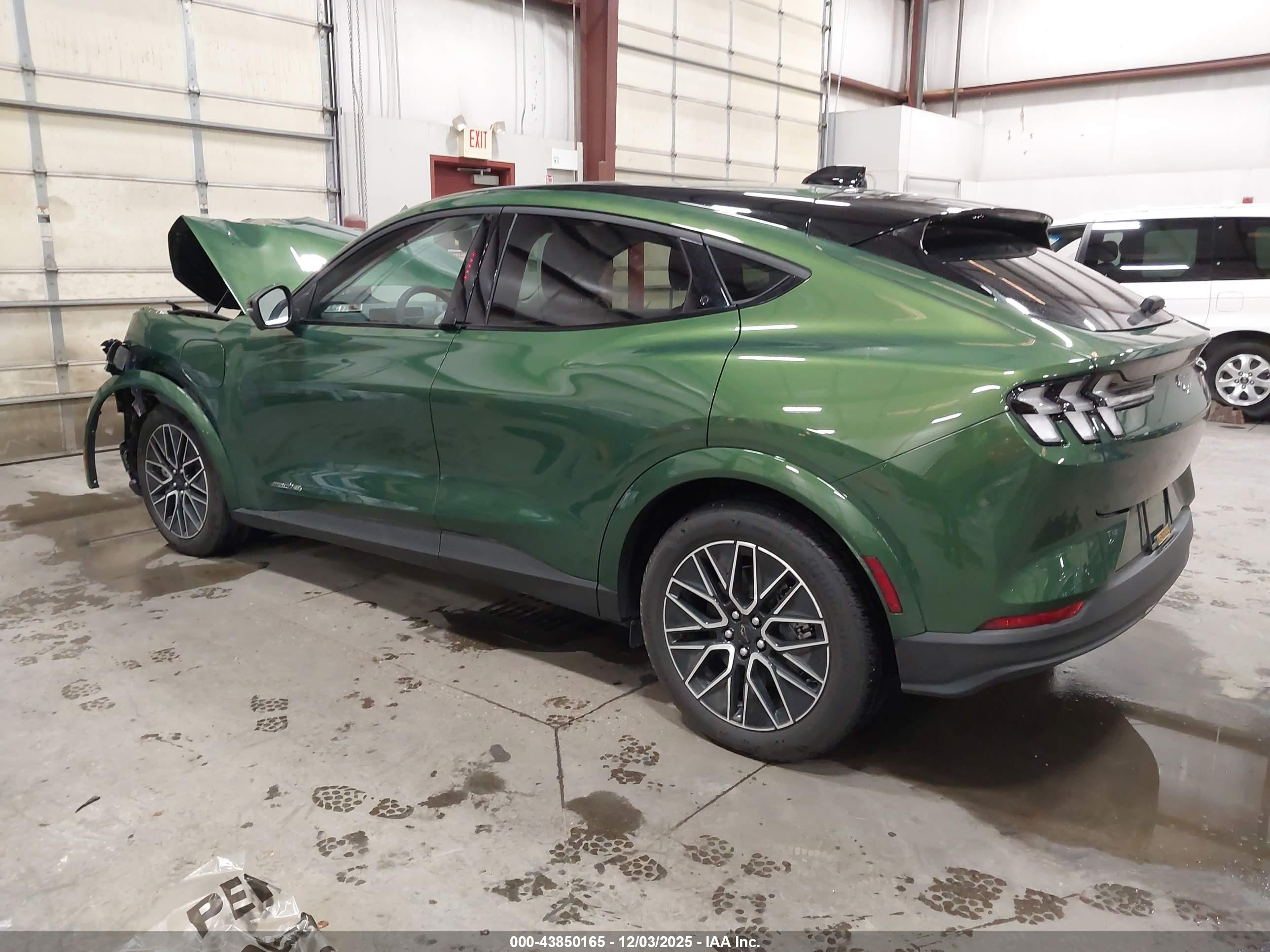 FORD MUSTANG image 3