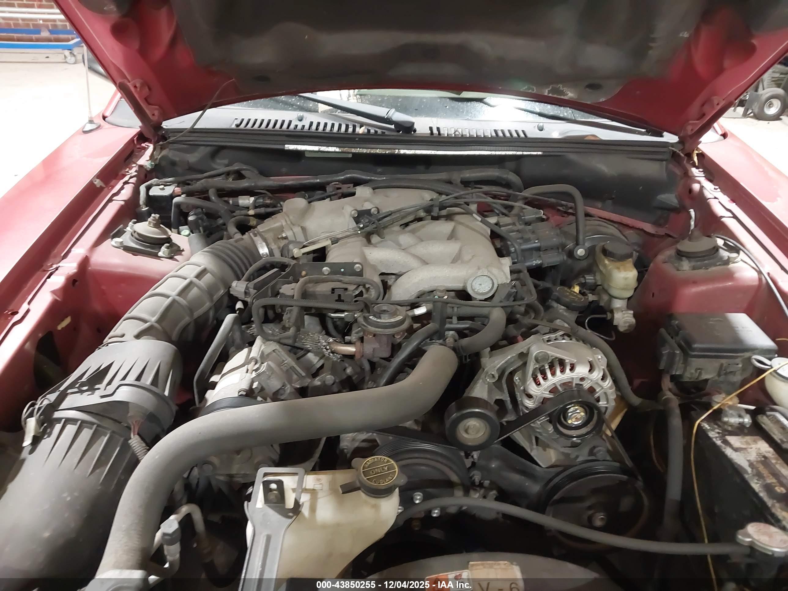 FORD MUSTANG image 10