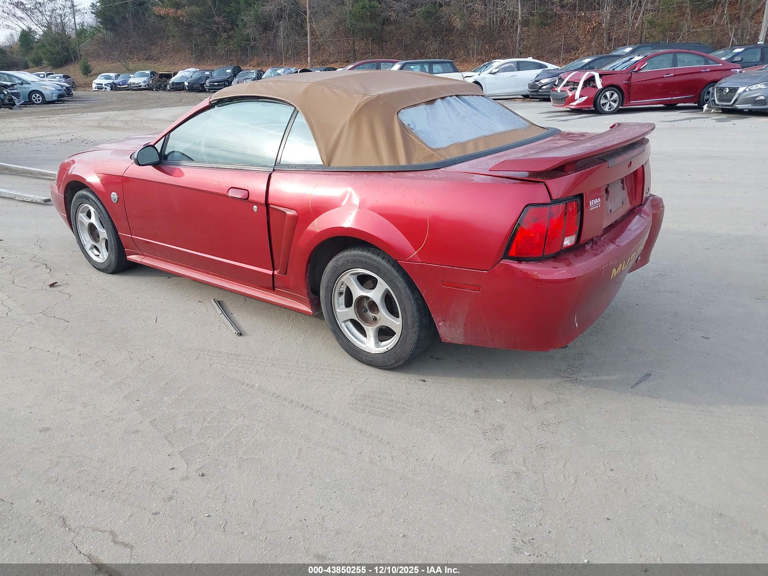 FORD MUSTANG image 3