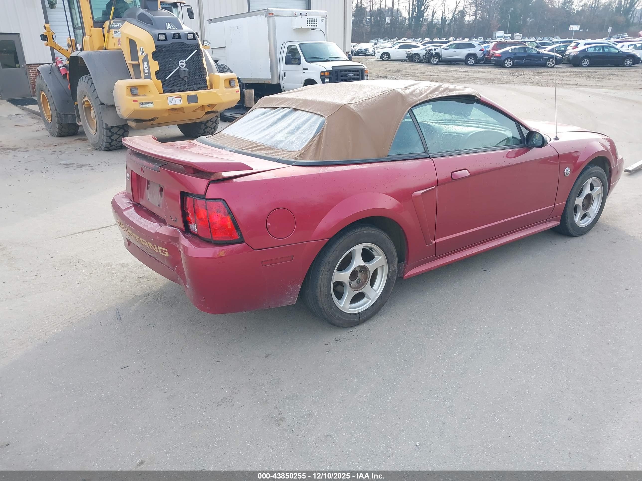 FORD MUSTANG image 4