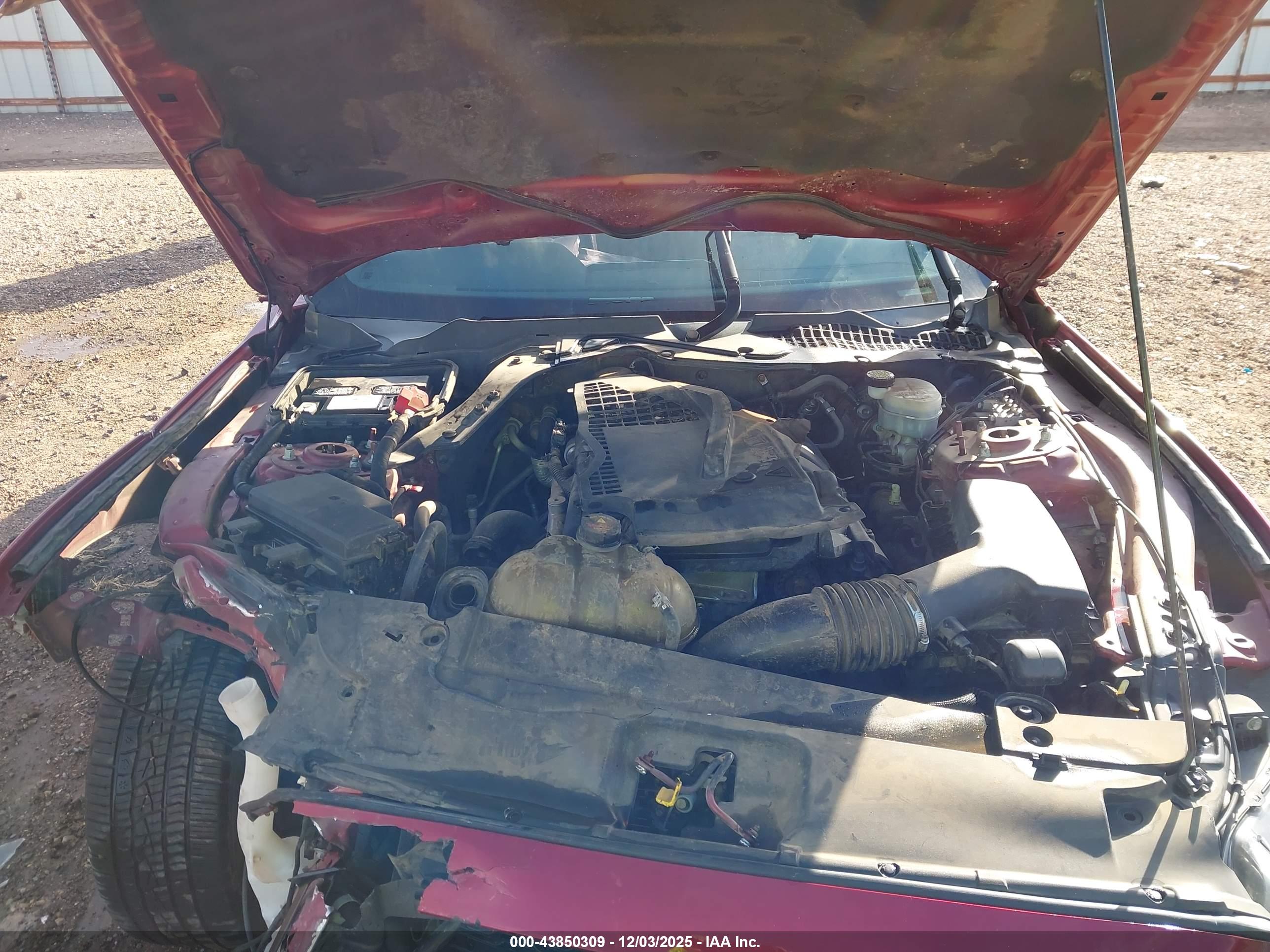 FORD MUSTANG image 10