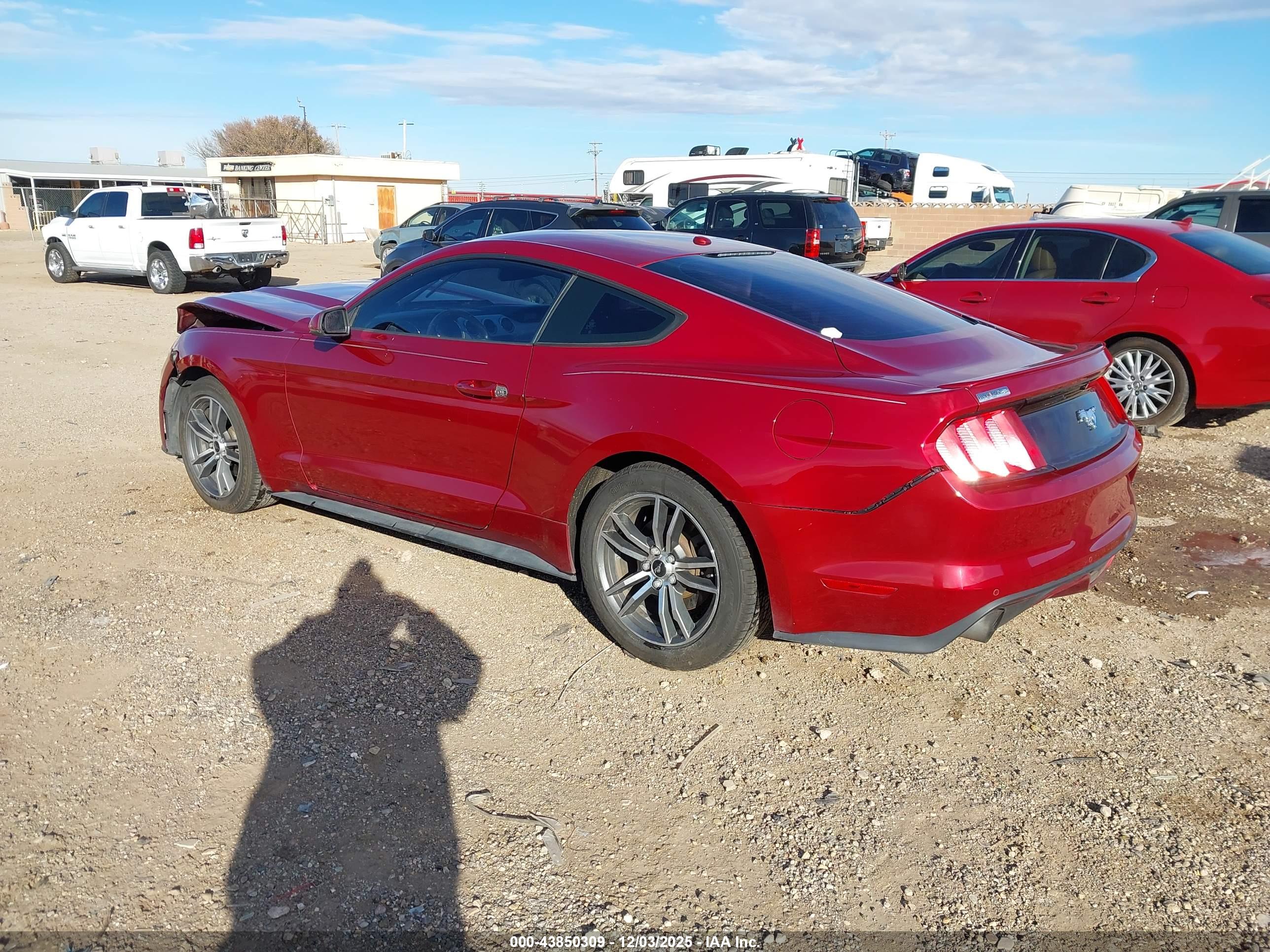 FORD MUSTANG image 3