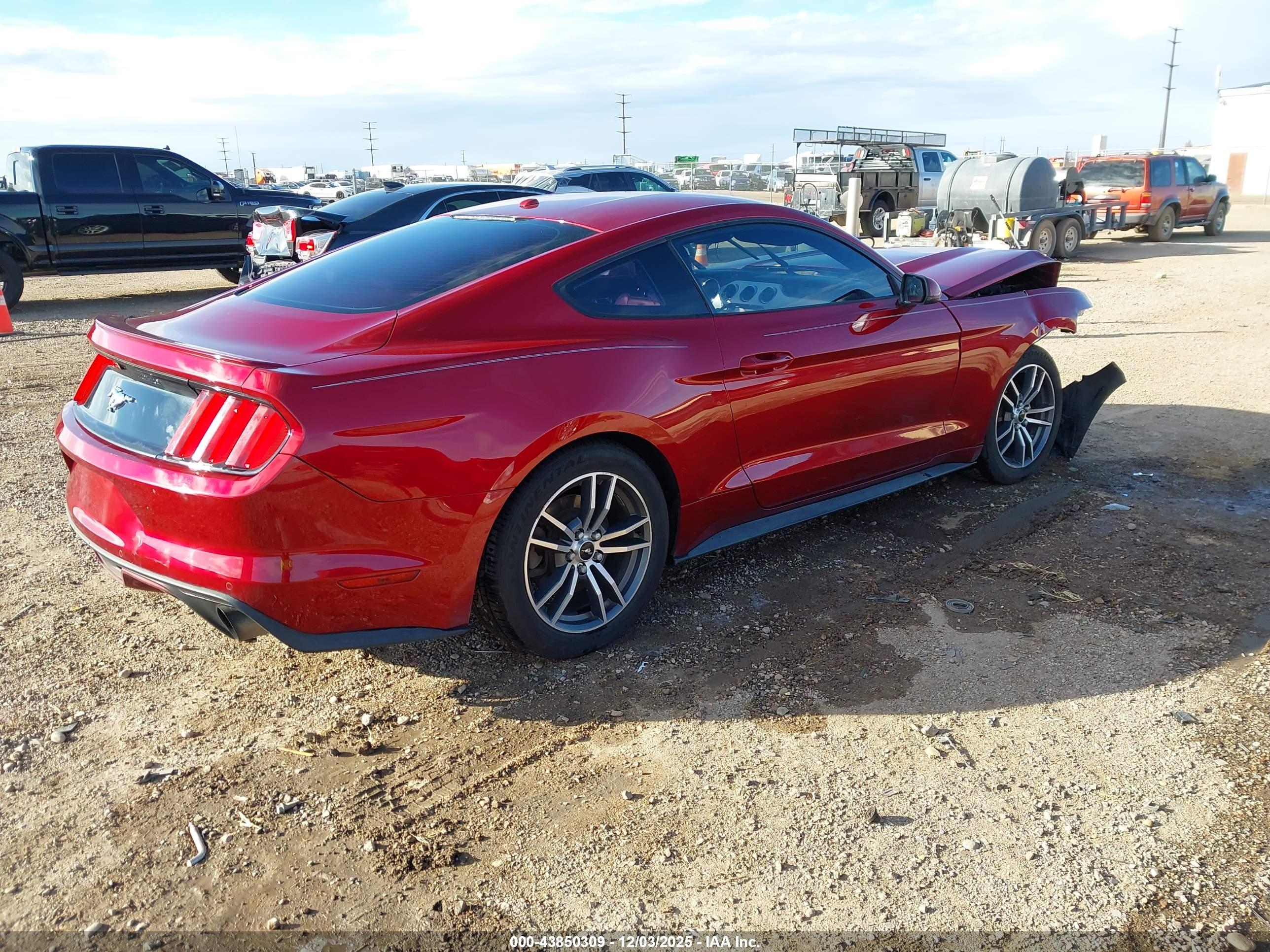 FORD MUSTANG image 4