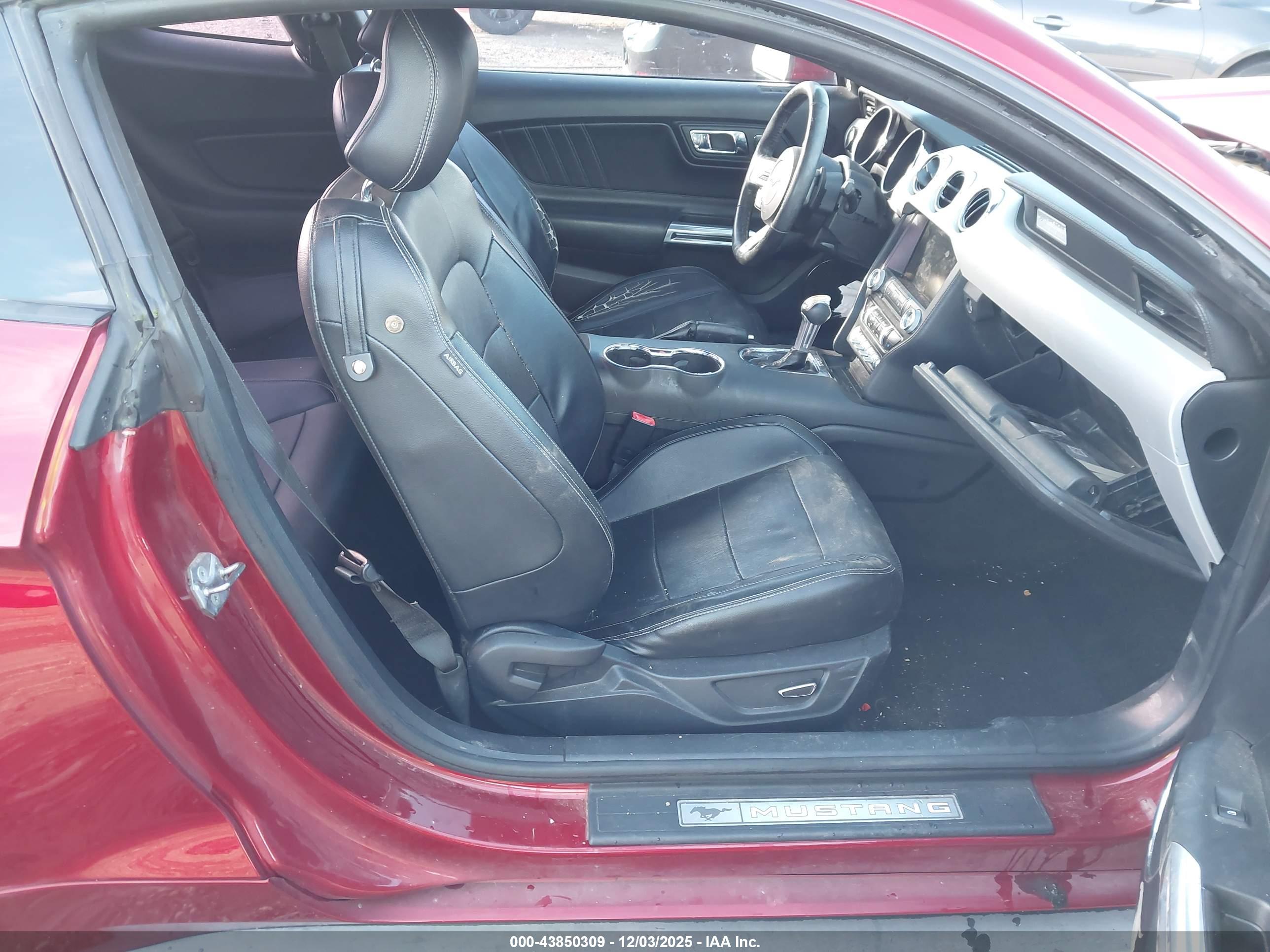 FORD MUSTANG image 5