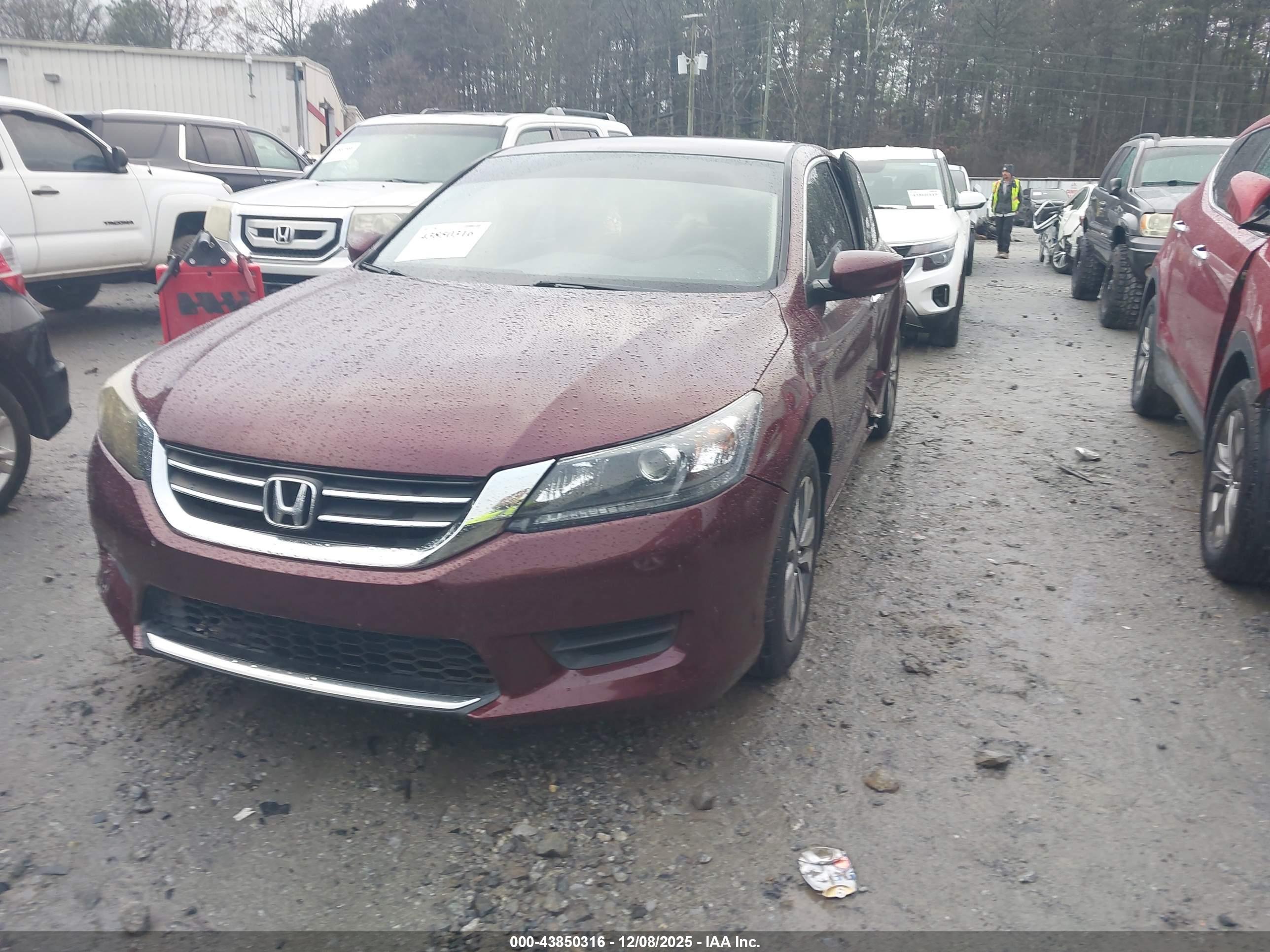 HONDA ACCORD image 2