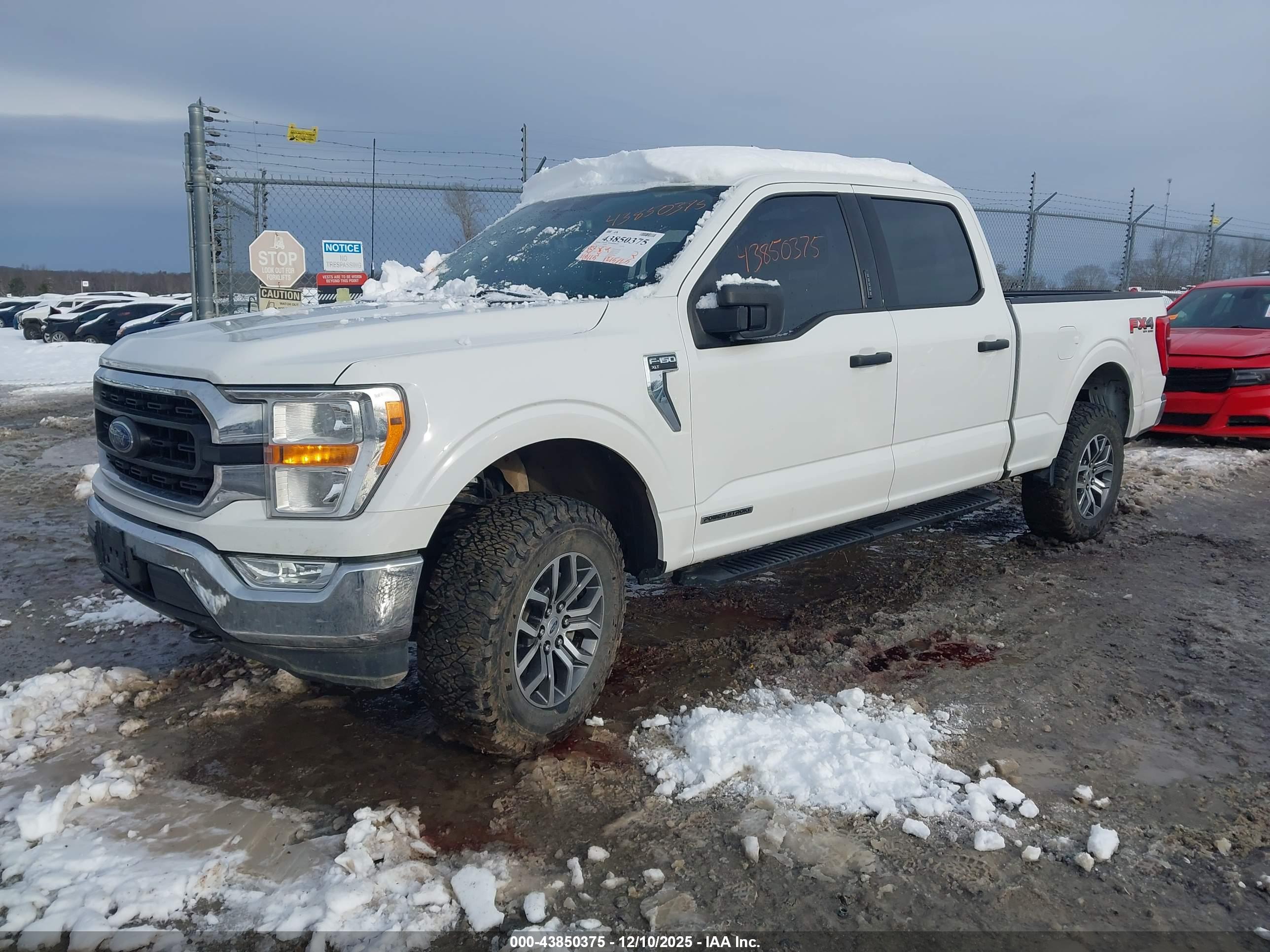 FORD F-150 image 2