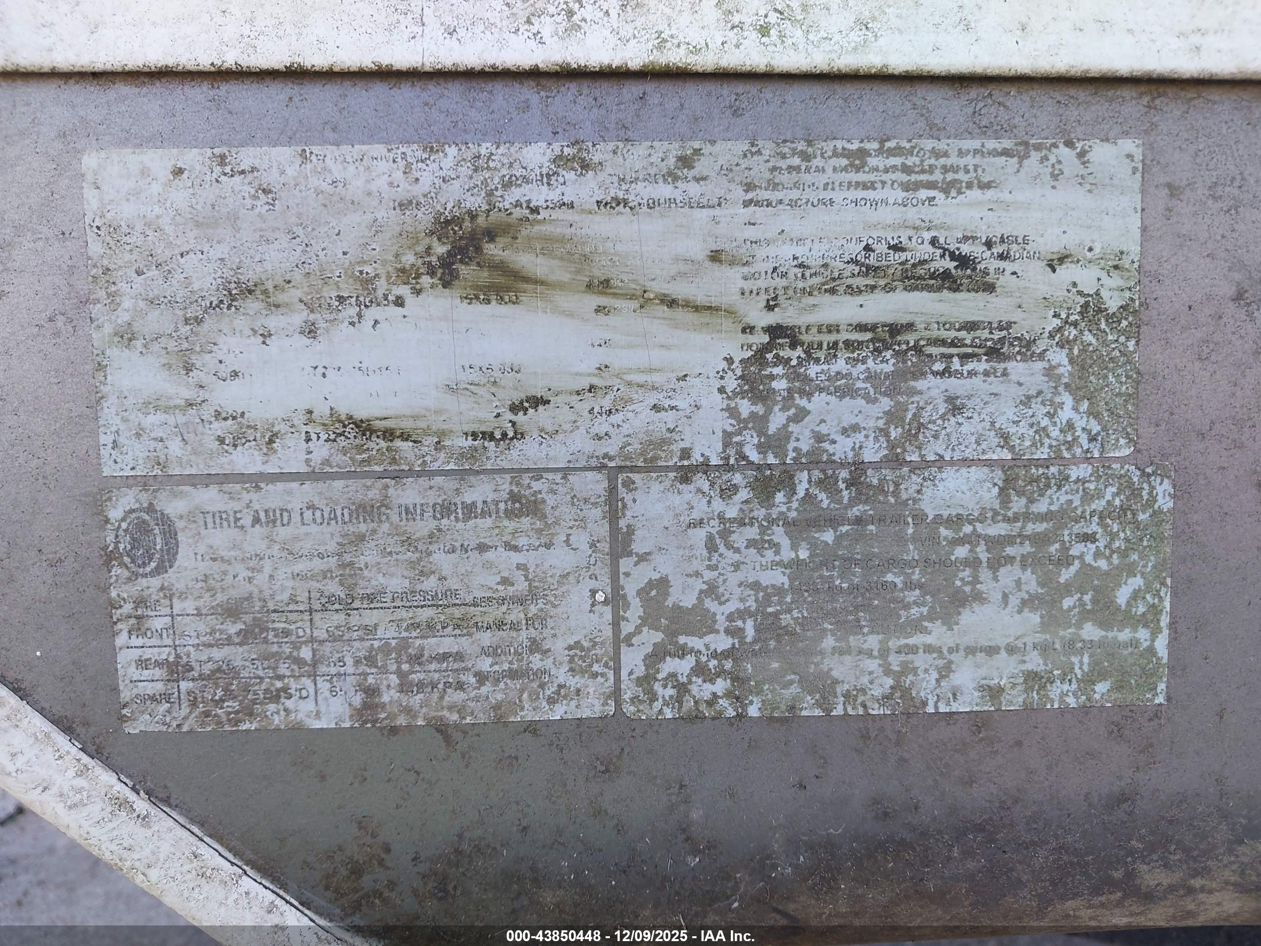 FOREST RIVER image 9