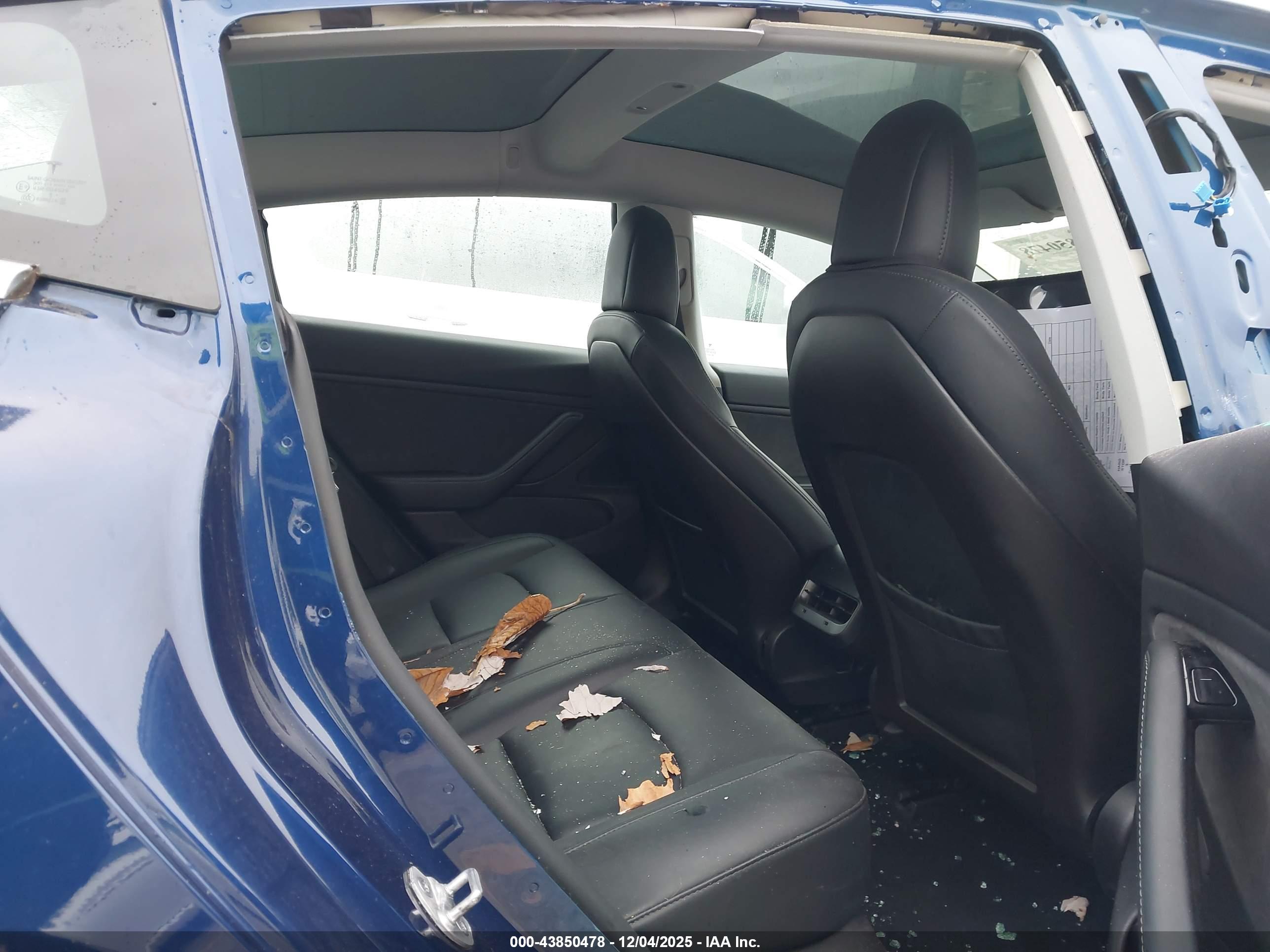 TESLA MODEL image 8