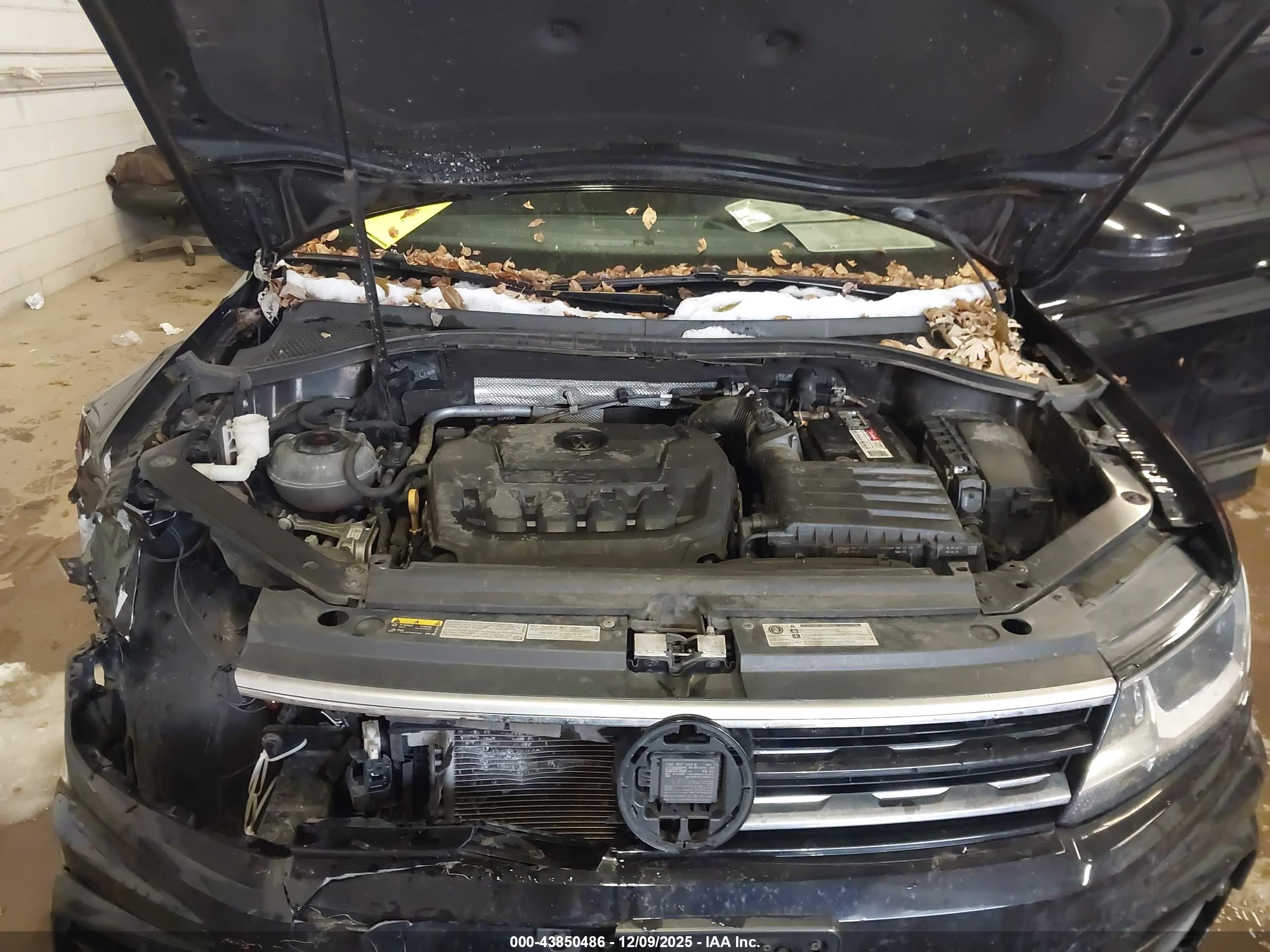 VOLKSWAGEN TIGUAN image 10