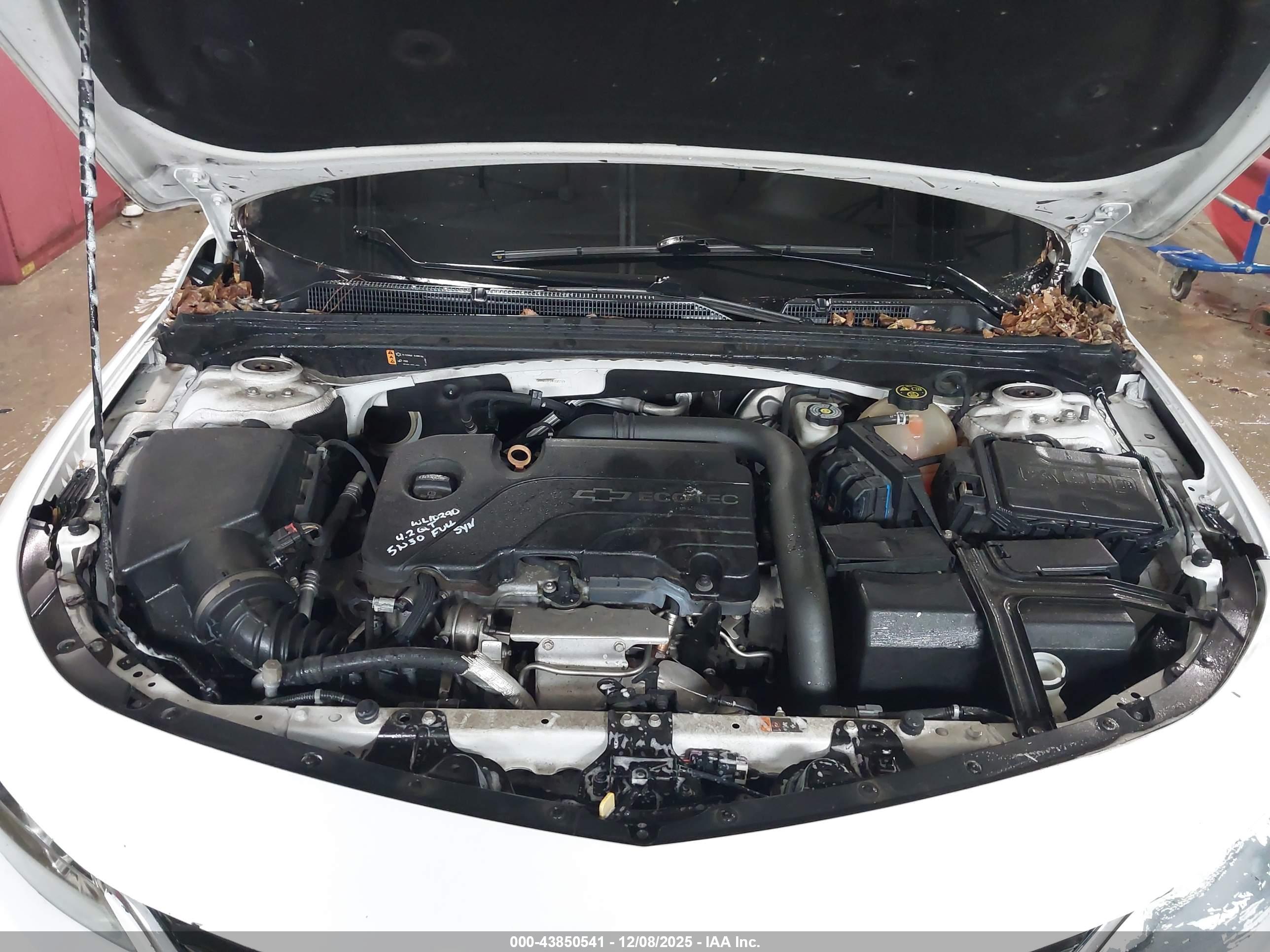 CHEVROLET MALIBU image 10