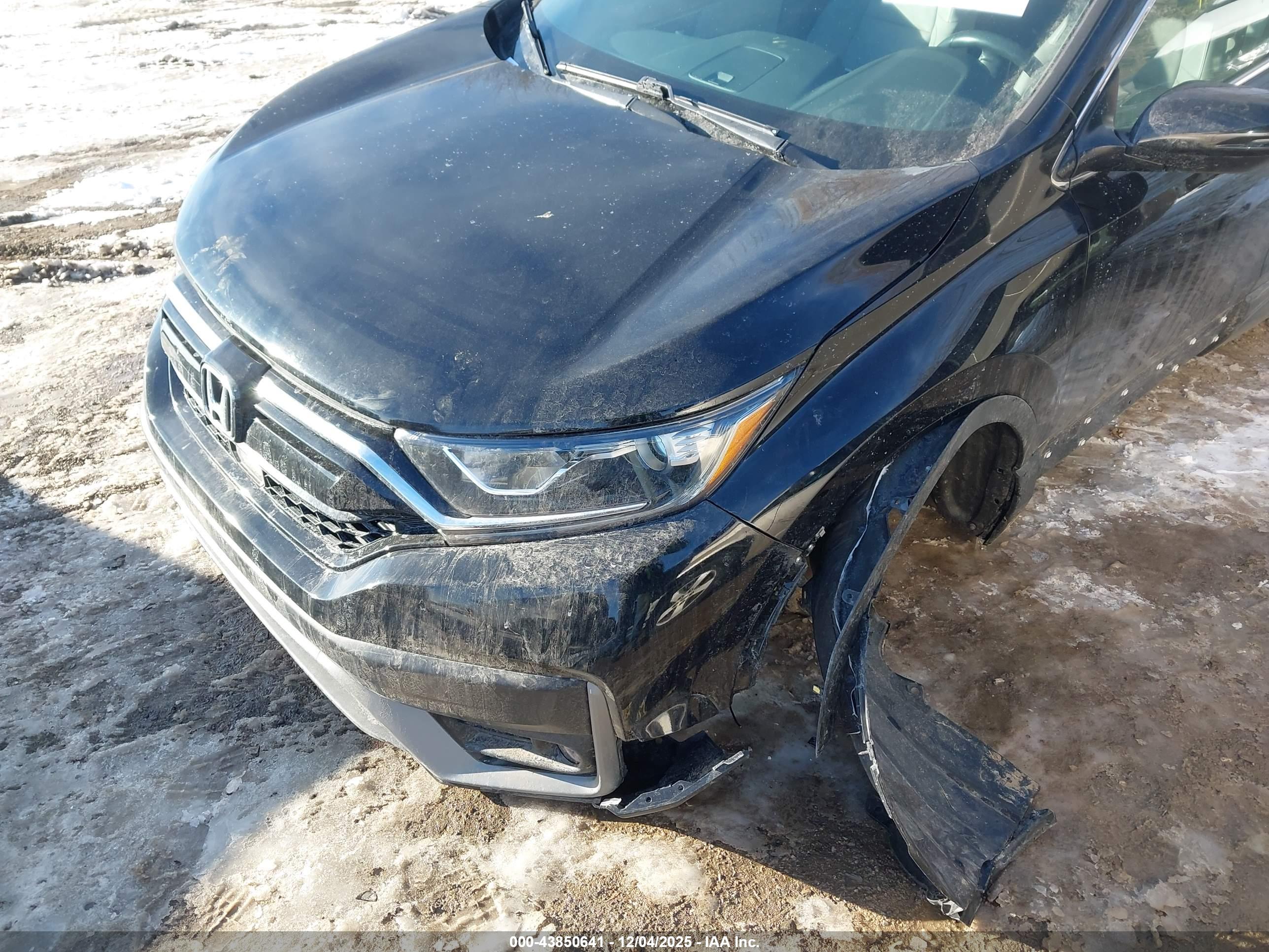 HONDA CR-V image 6