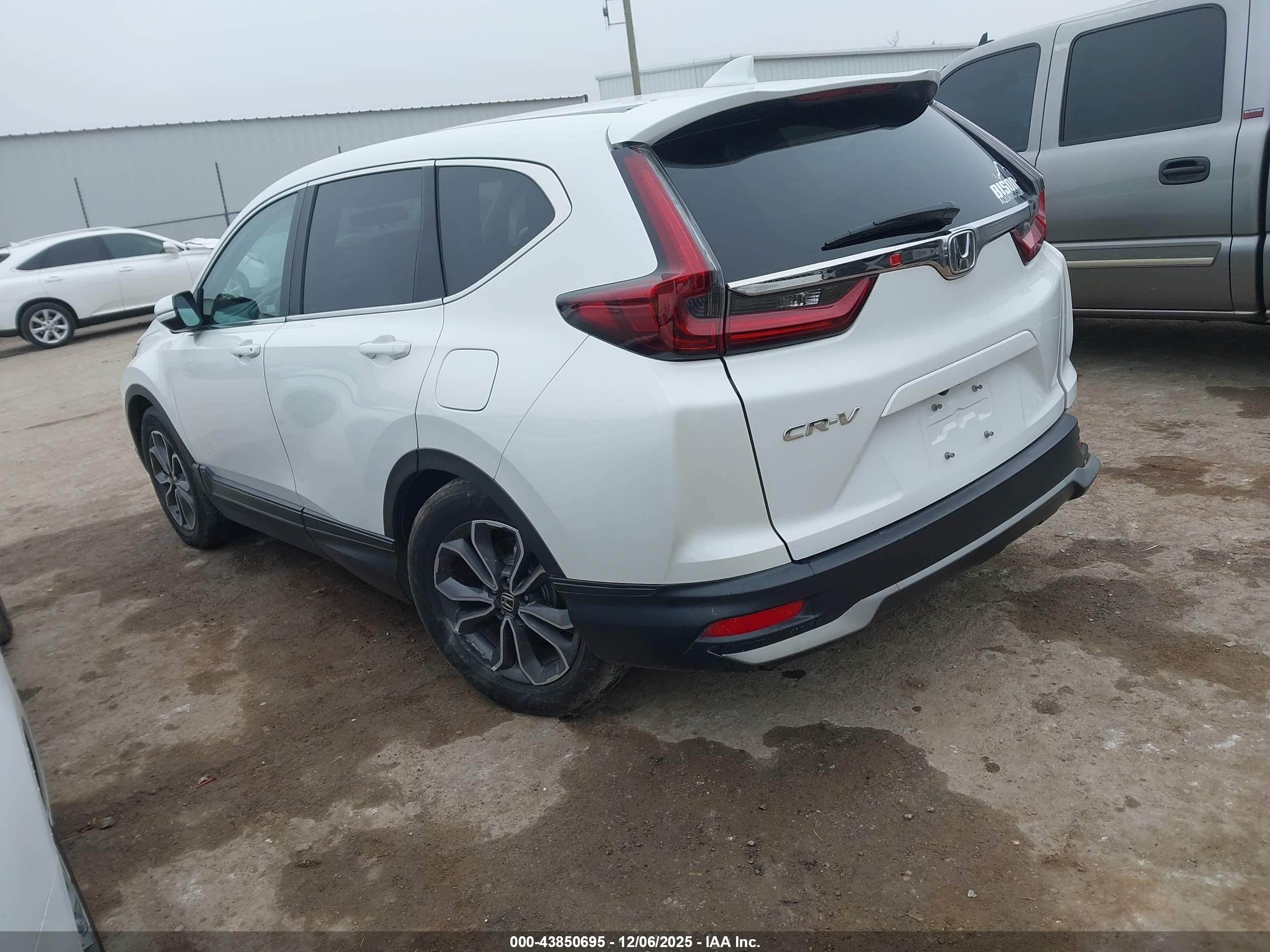 HONDA CR-V image 3