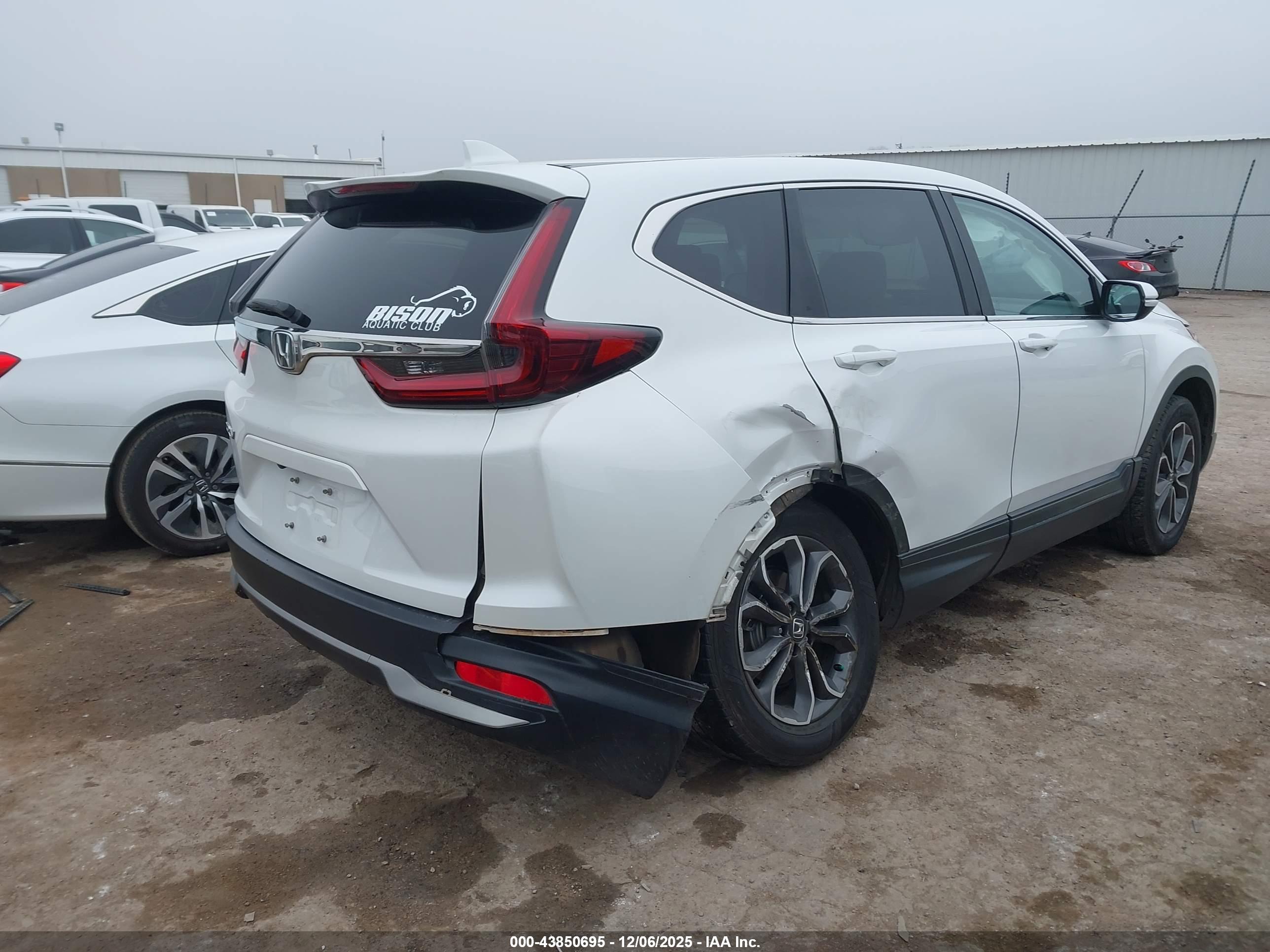 HONDA CR-V image 4
