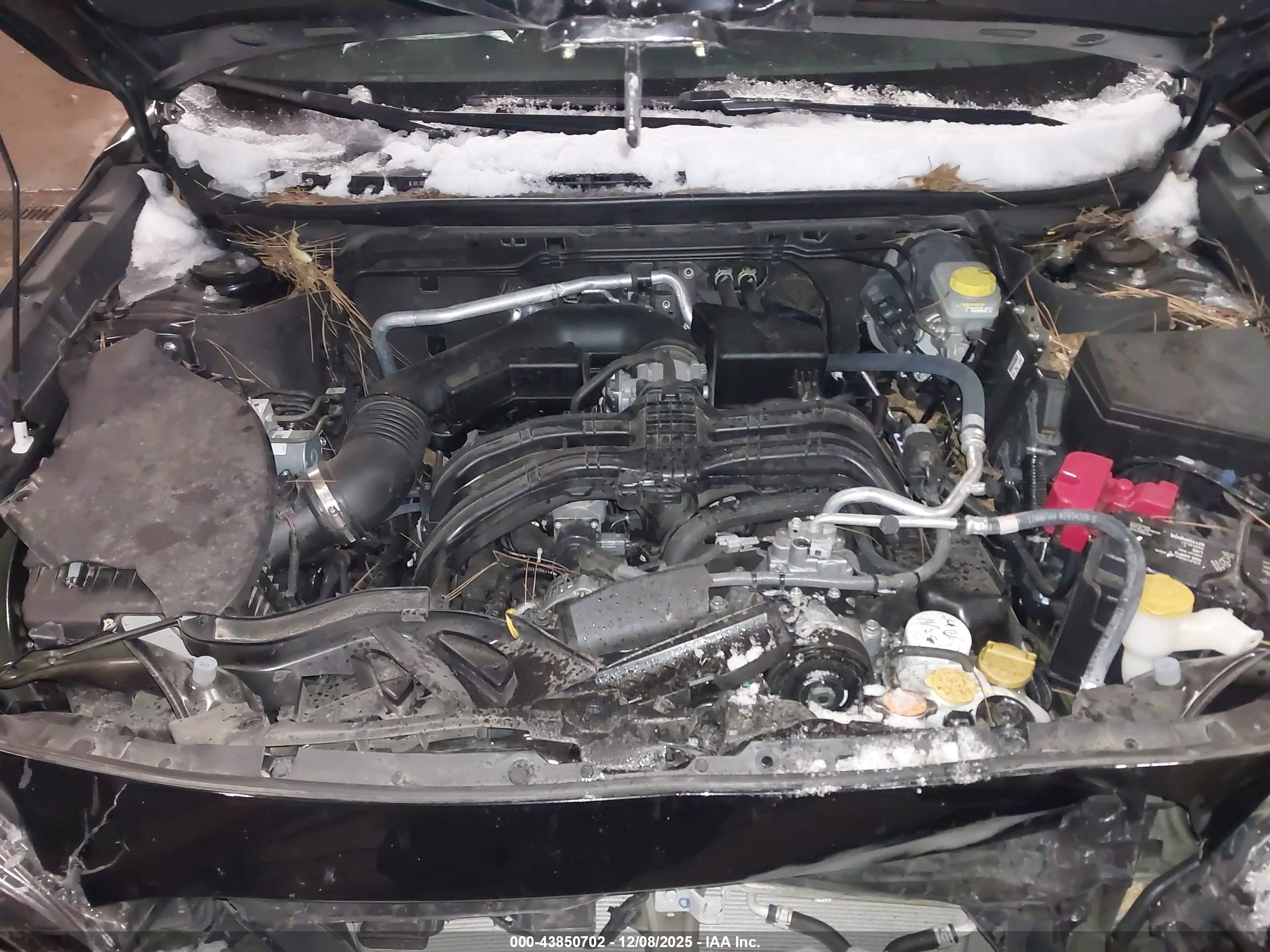 SUBARU OUTBACK image 10