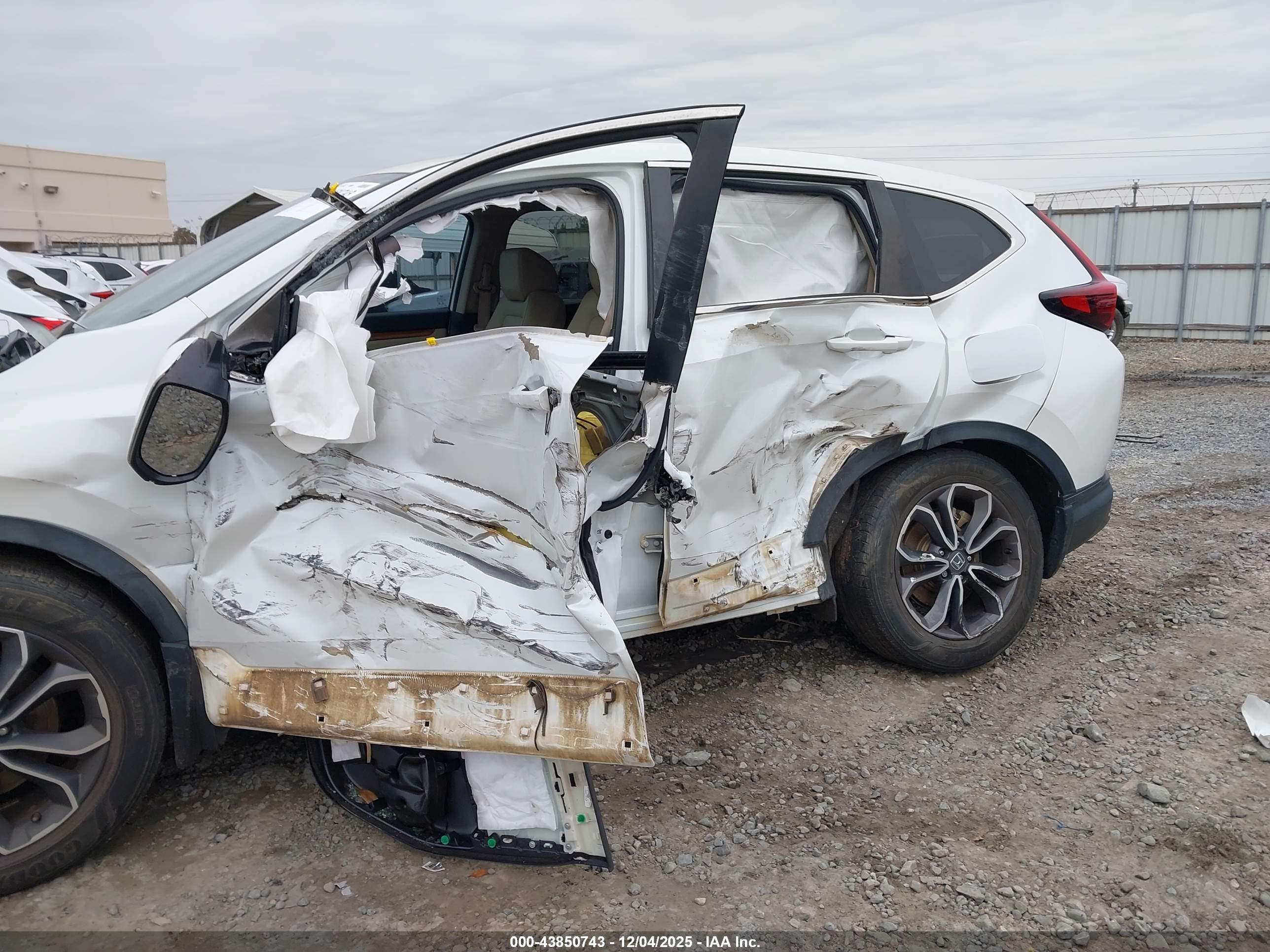 HONDA CR-V image 6