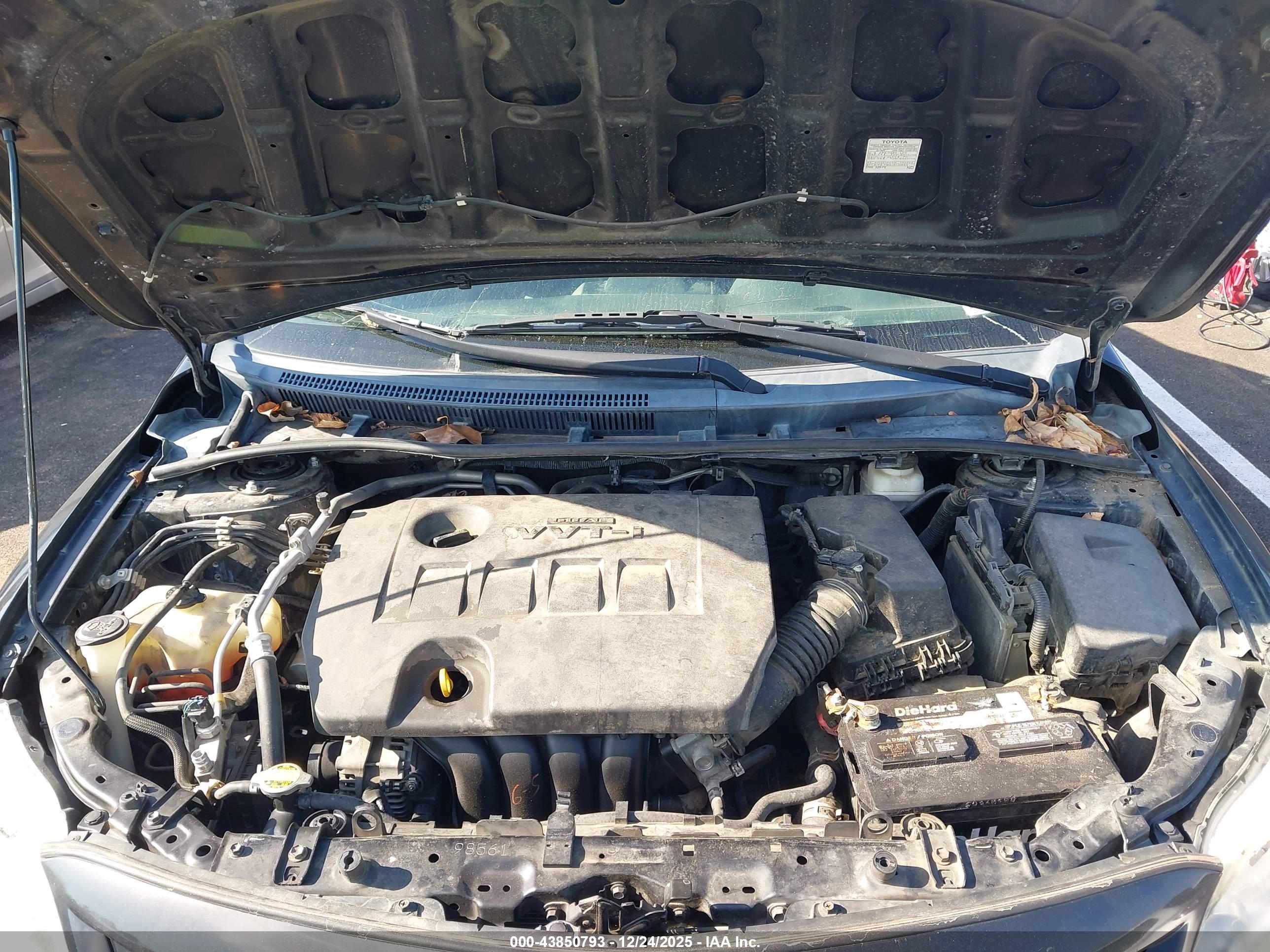 TOYOTA COROLLA image 10