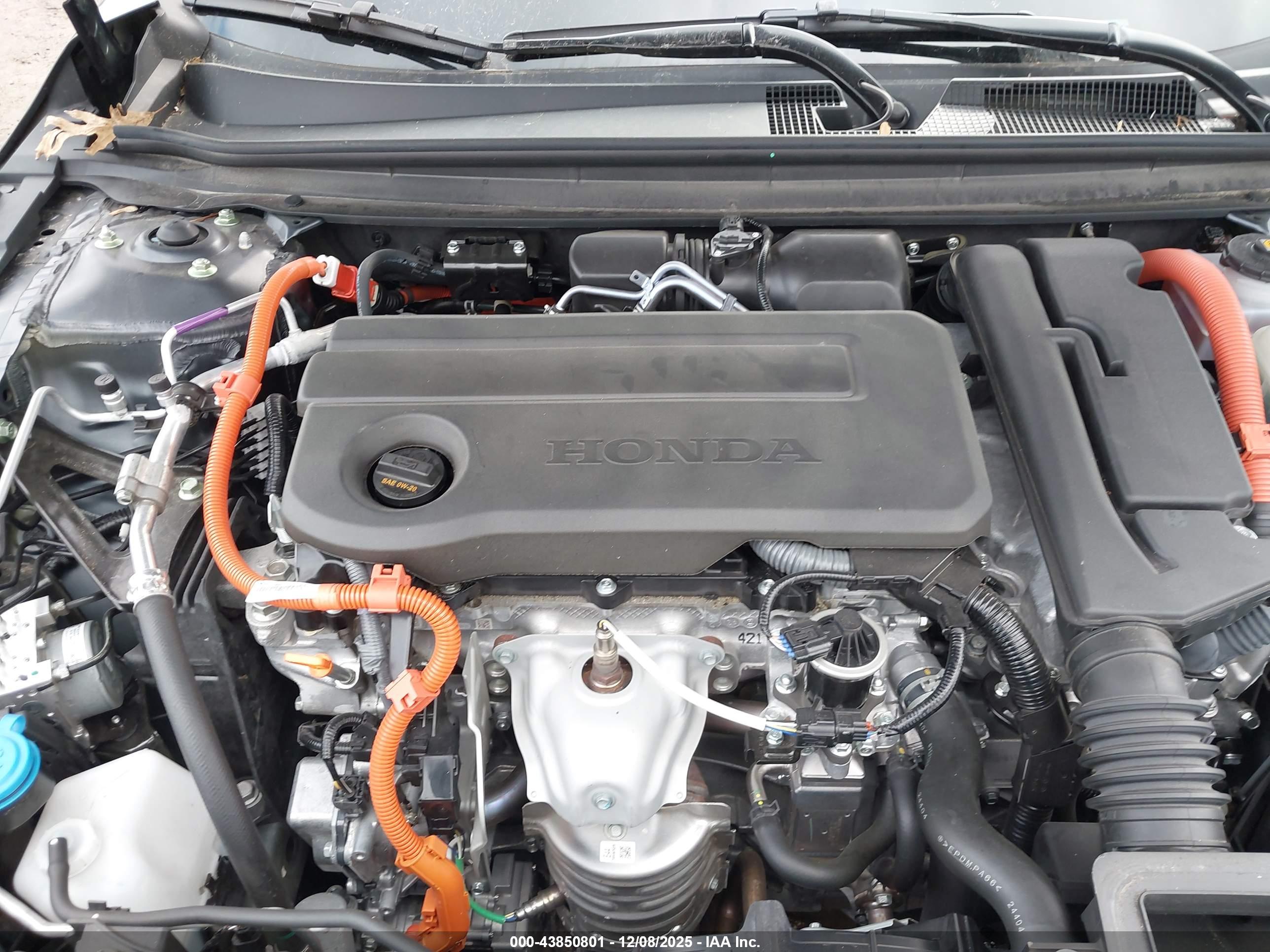 HONDA ACCORD image 10