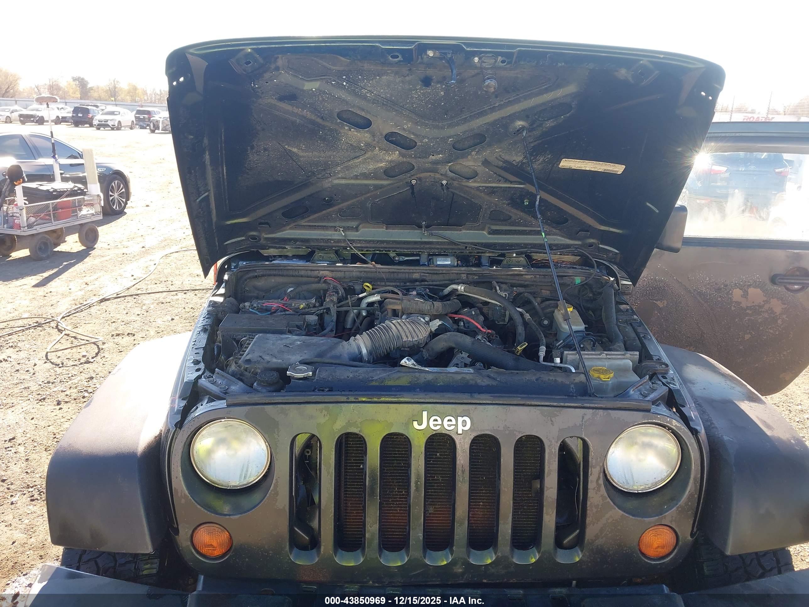 JEEP WRANGLER image 10