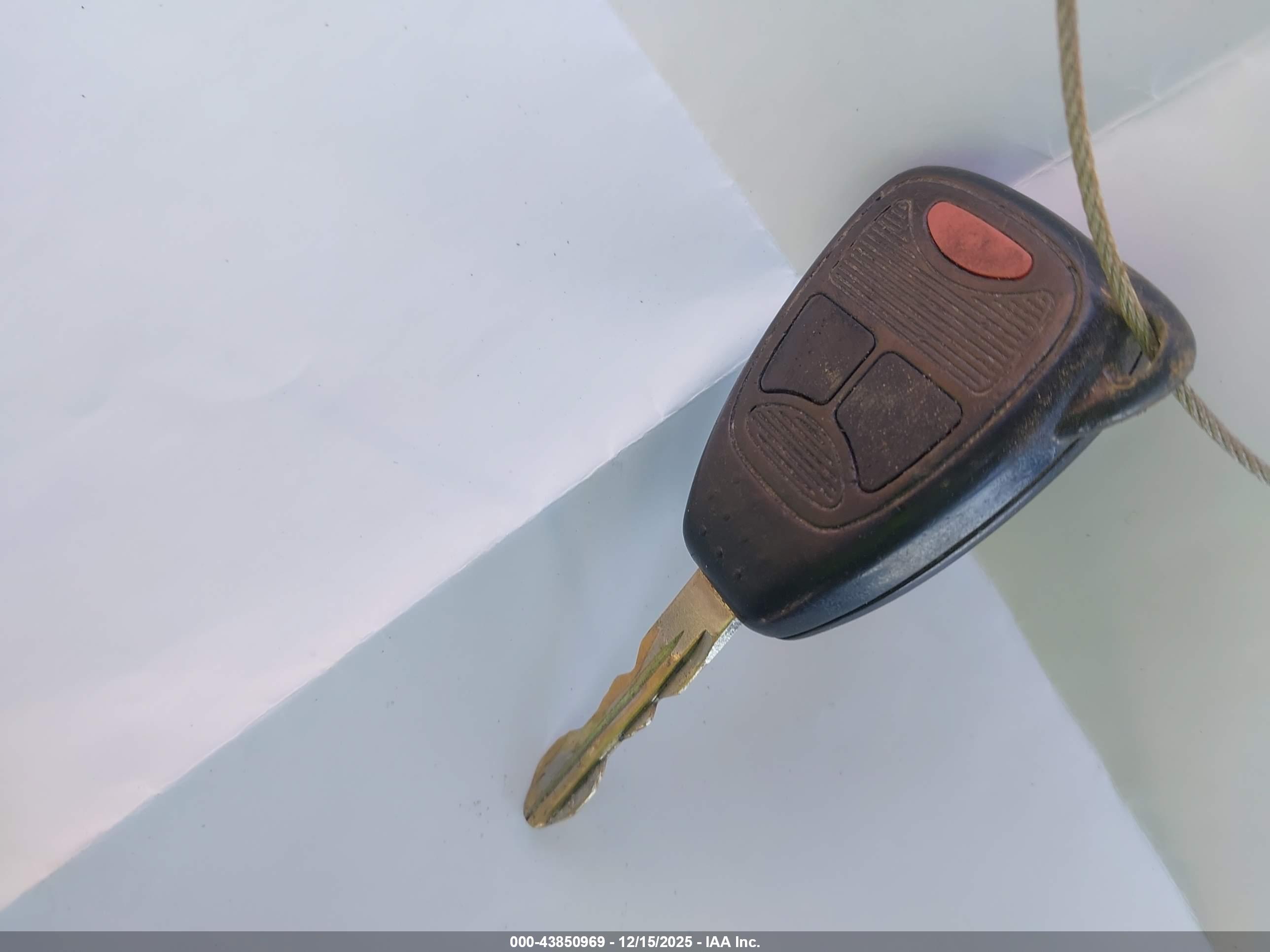 JEEP WRANGLER image 11