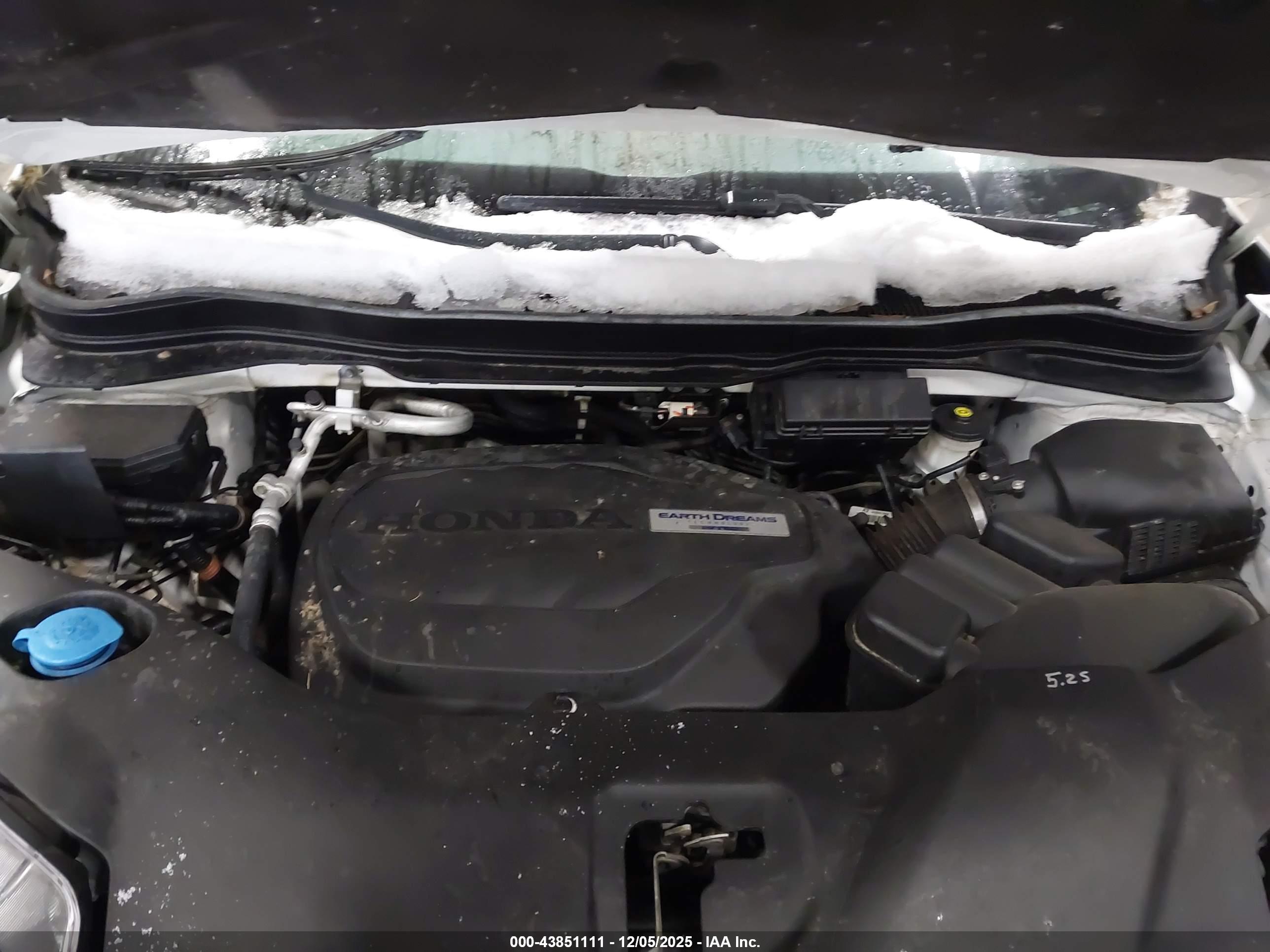 HONDA PASSPORT image 10