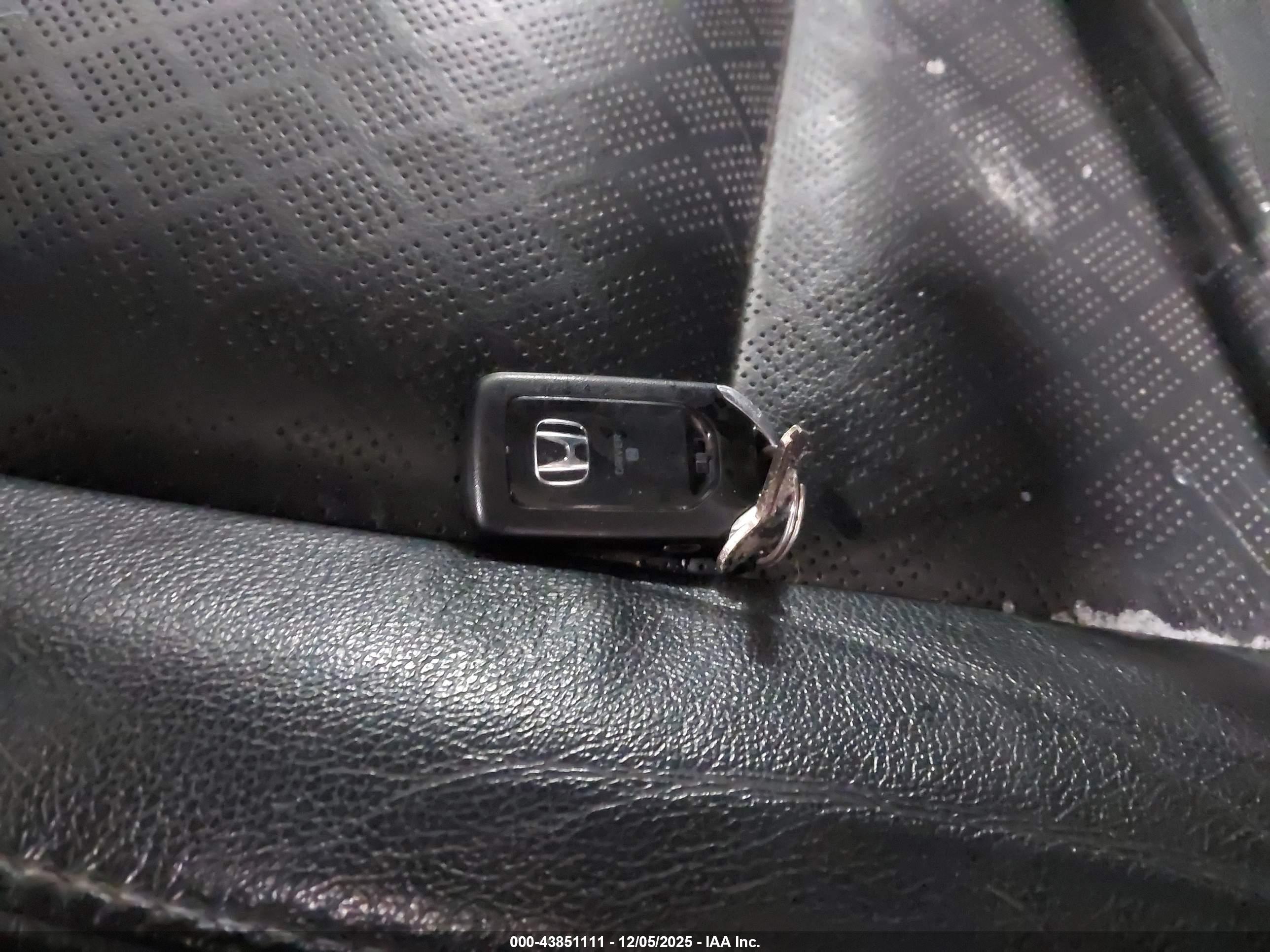 HONDA PASSPORT image 11