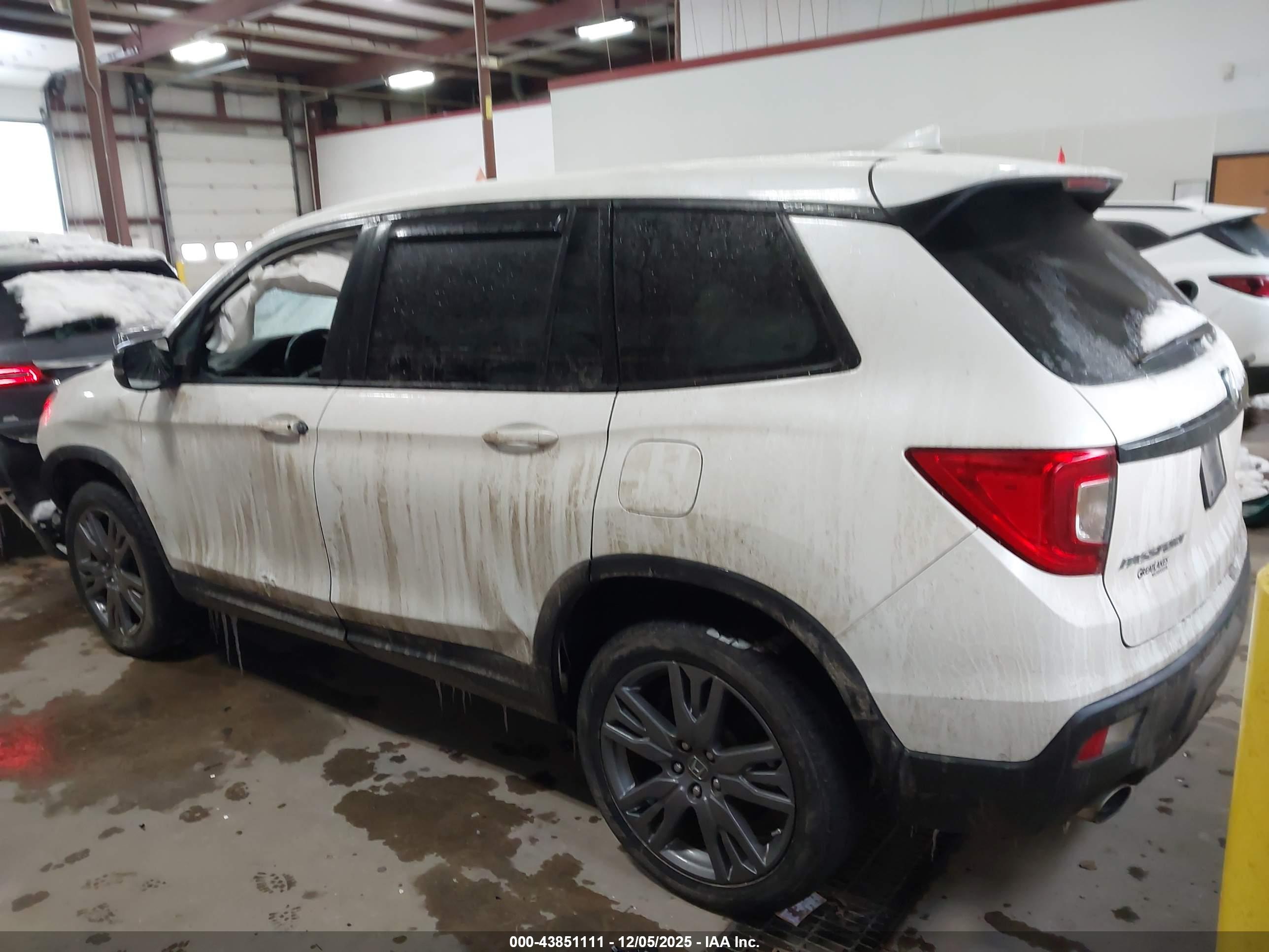 HONDA PASSPORT image 3