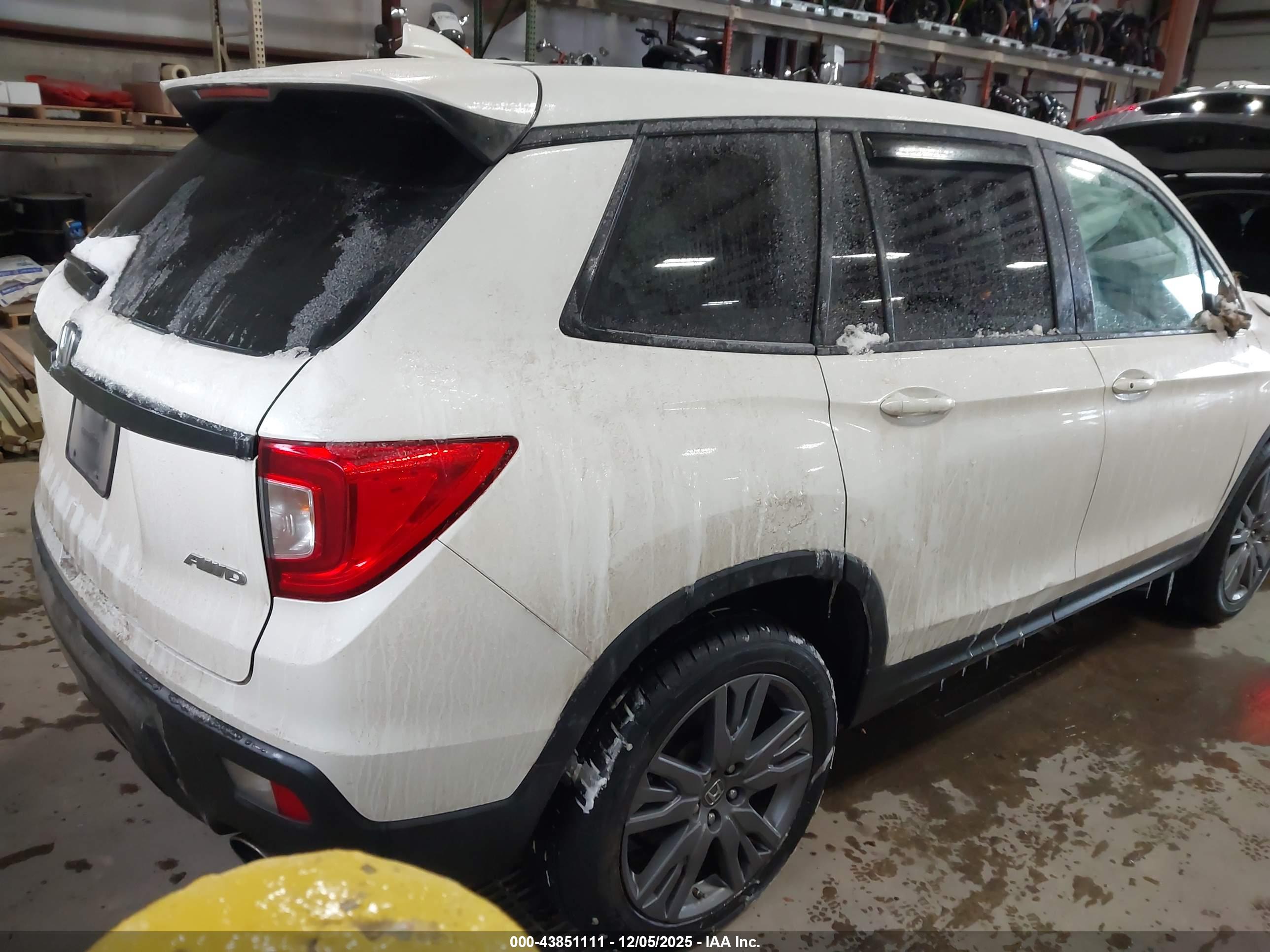 HONDA PASSPORT image 4