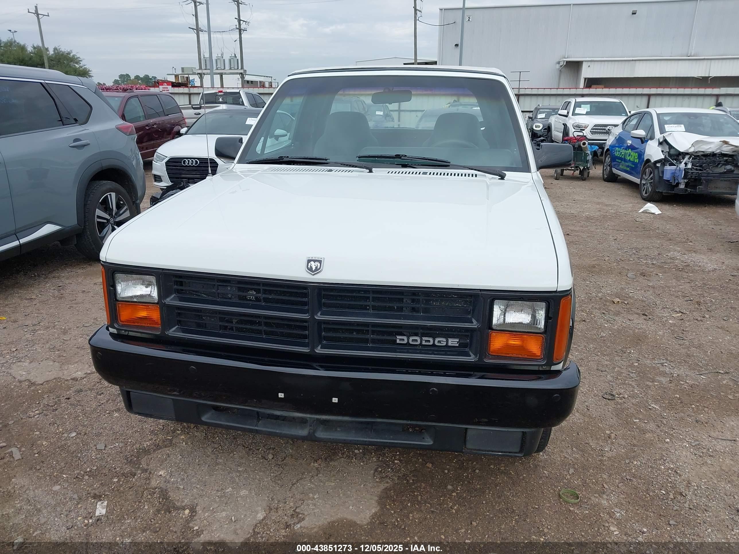 DODGE DAKOTA image 6