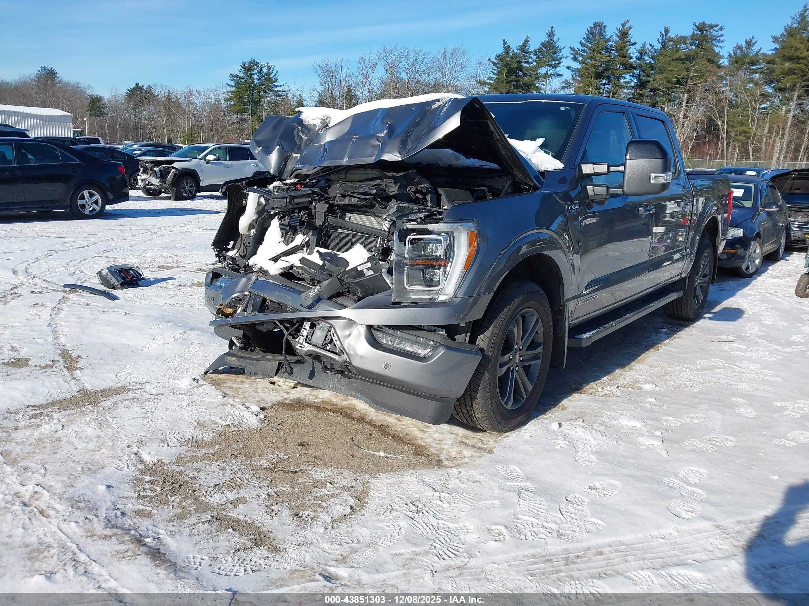 FORD F-150 image 2