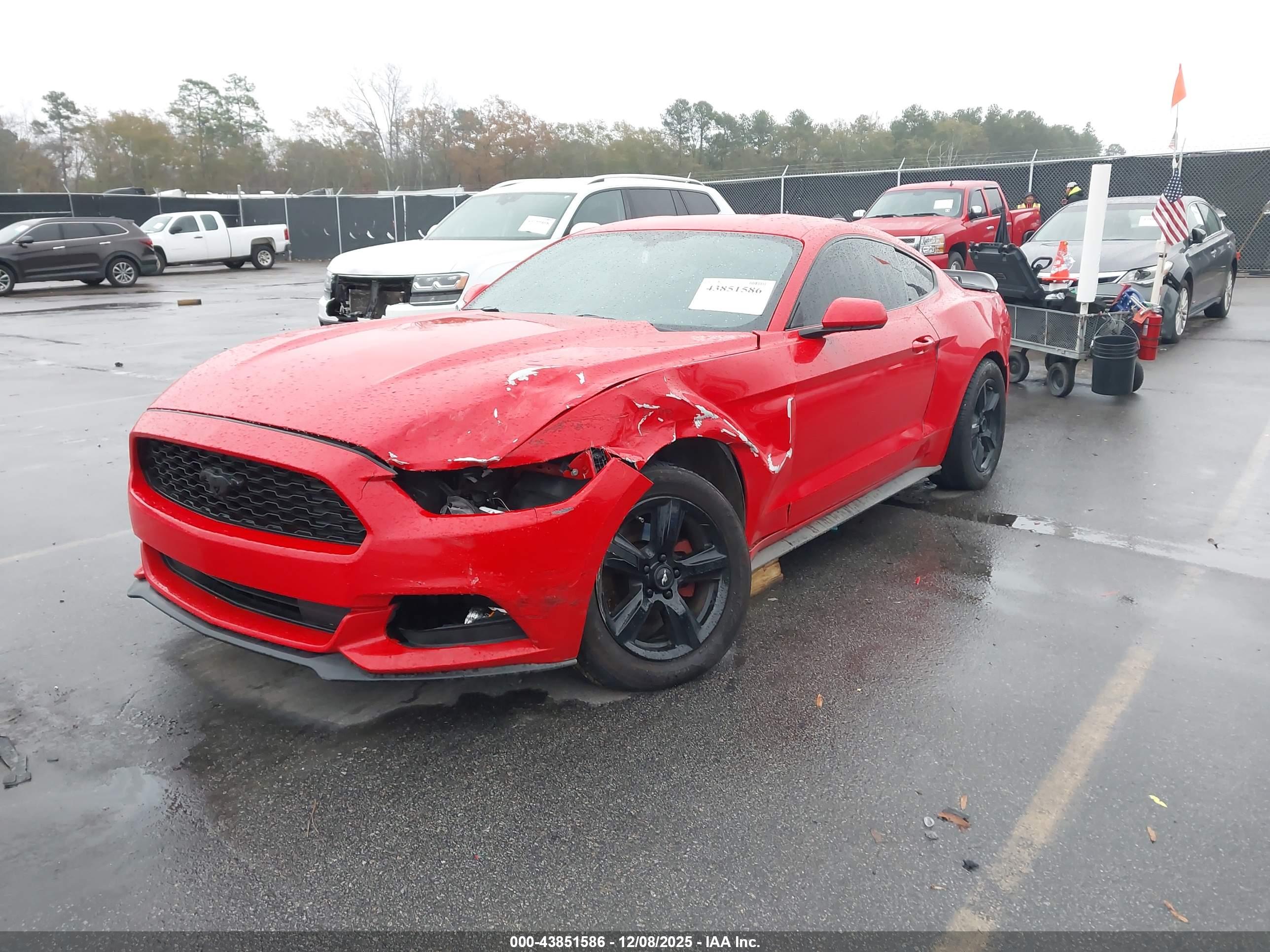 FORD MUSTANG image 2