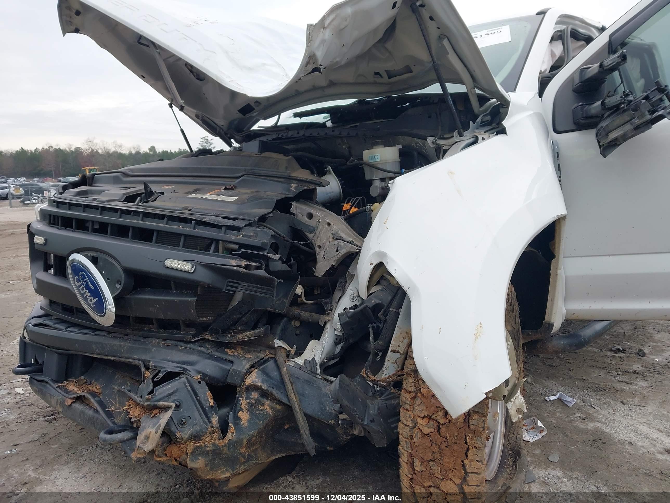 FORD F-250 image 6